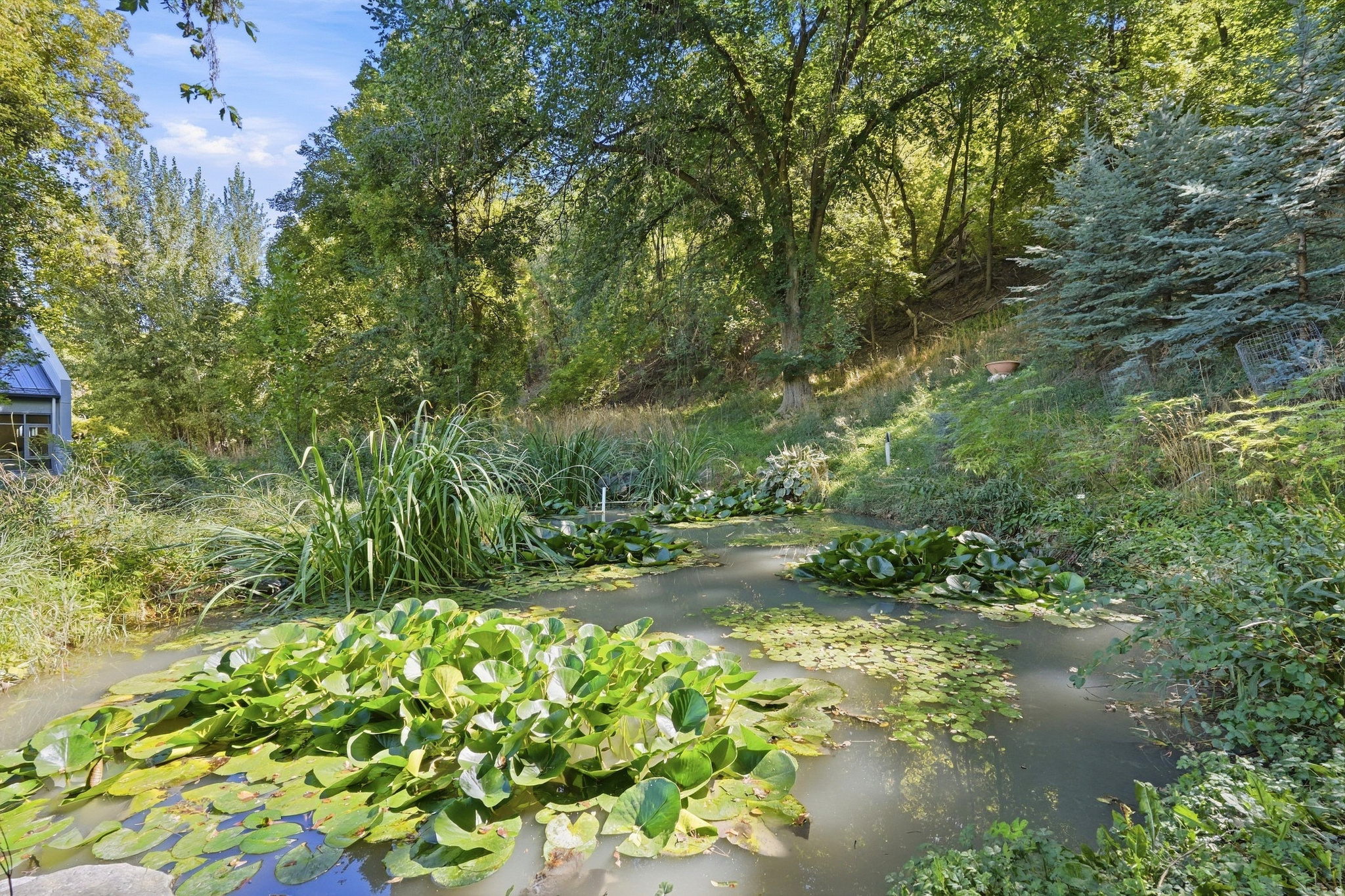 main property photo 40