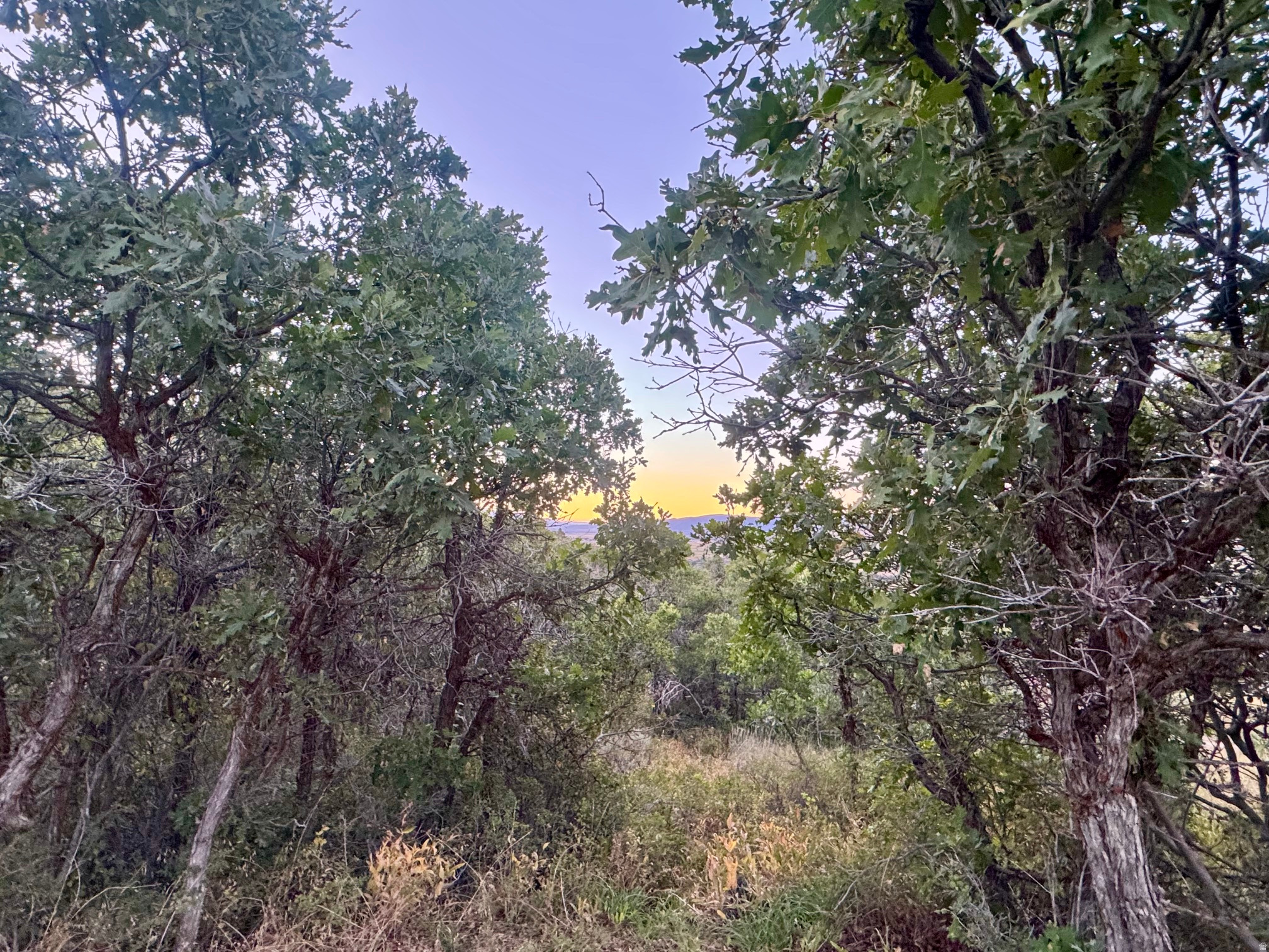 main property photo 18