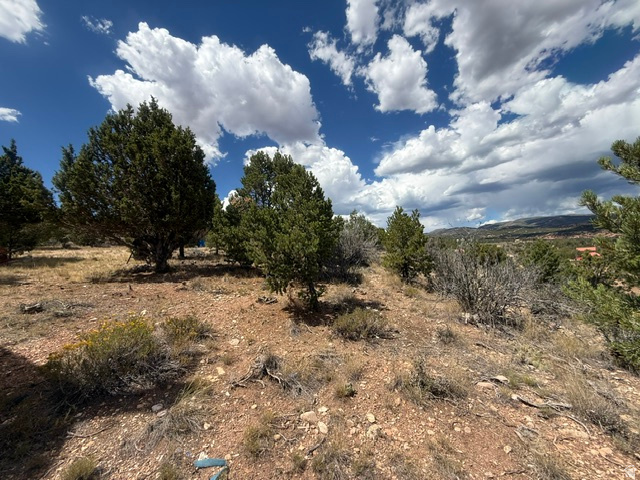 main property photo 24