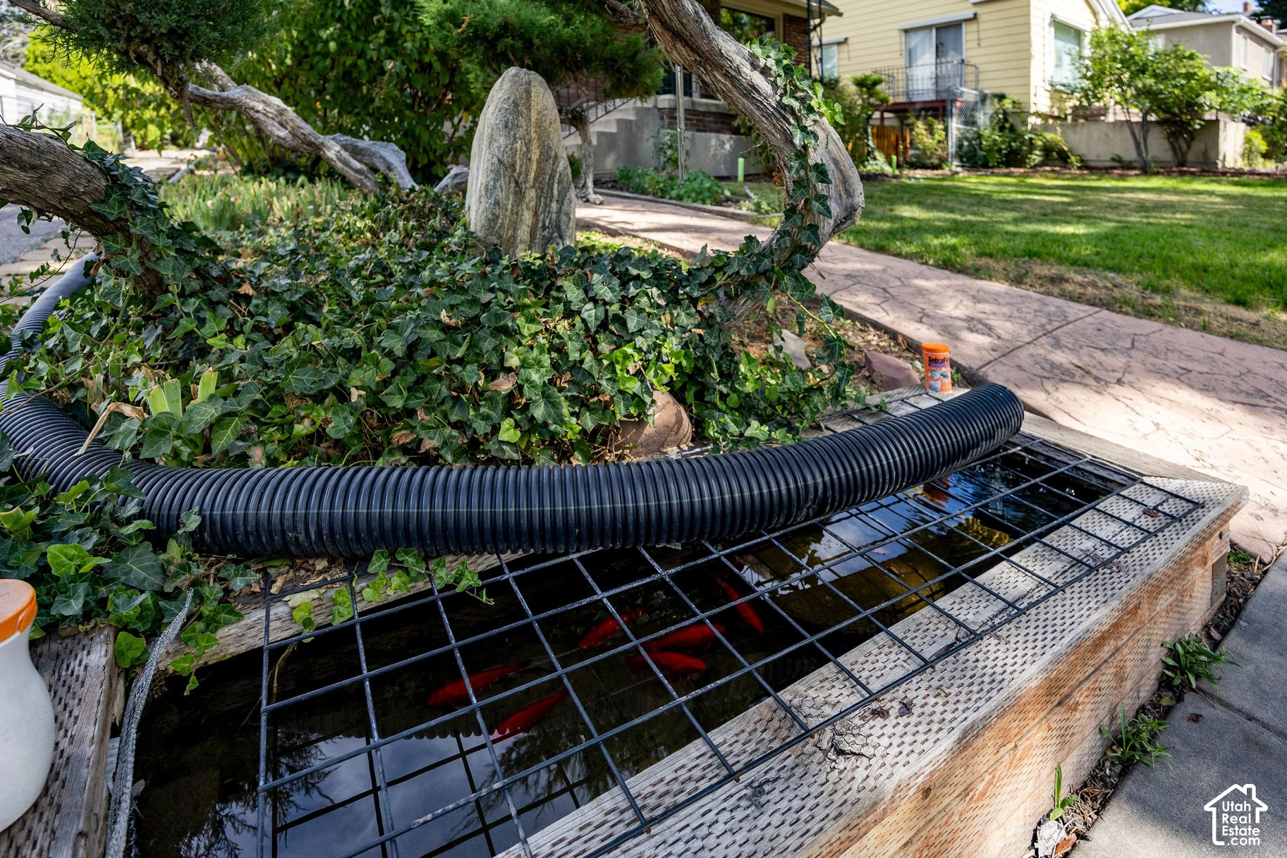 main property photo 43