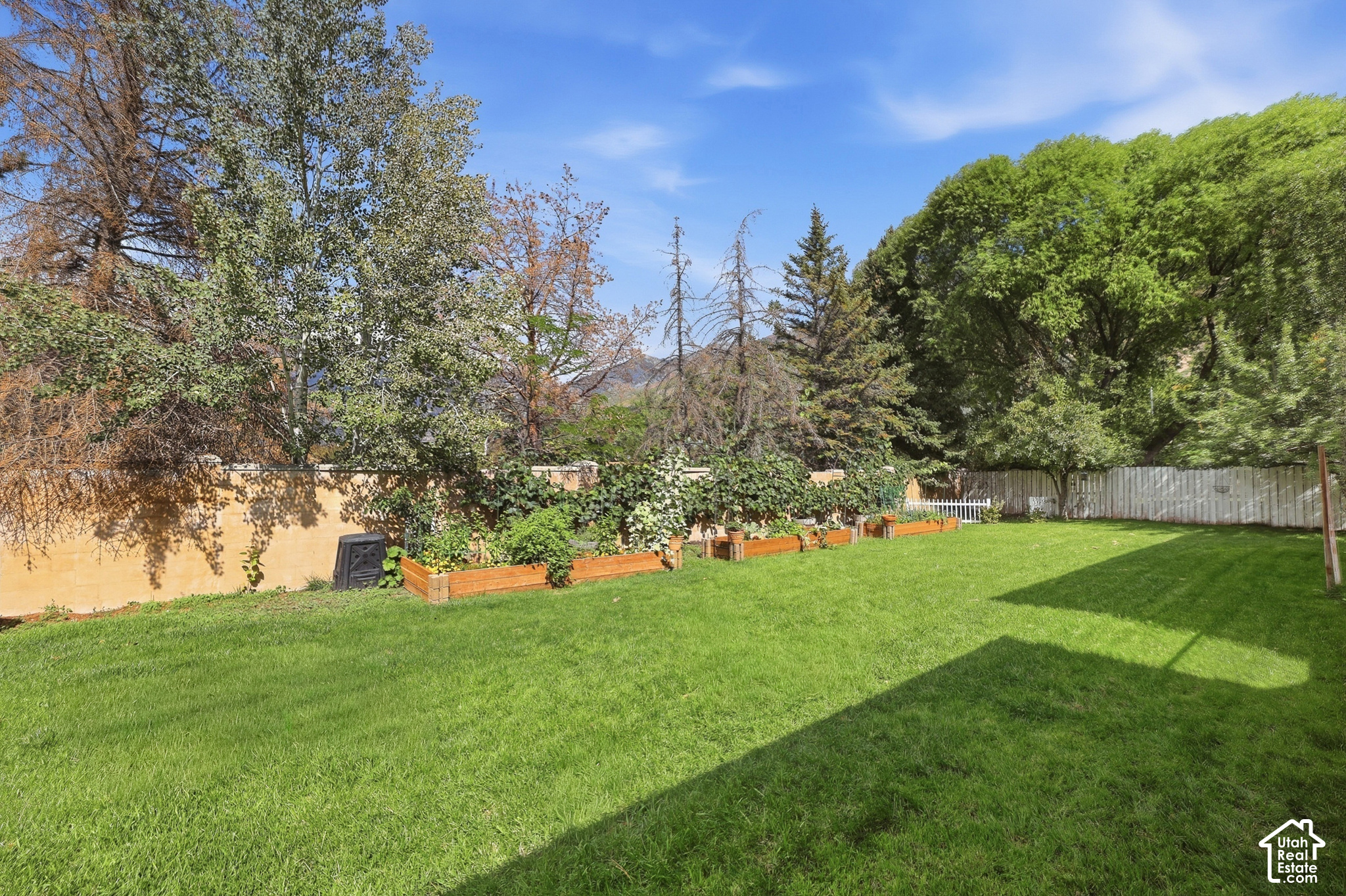 main property photo 56