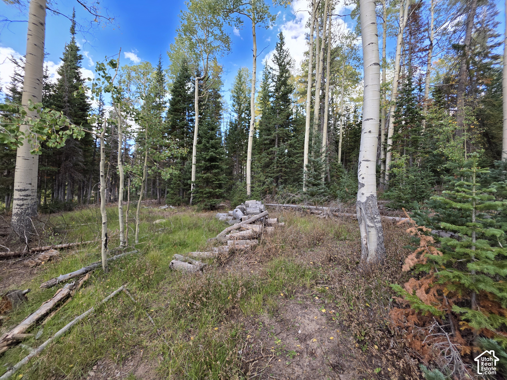 main property photo 10