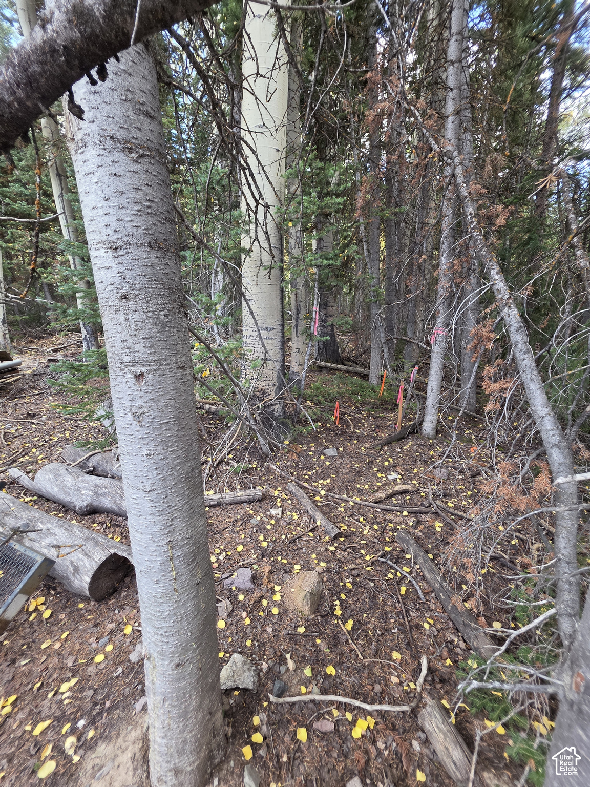 main property photo 18