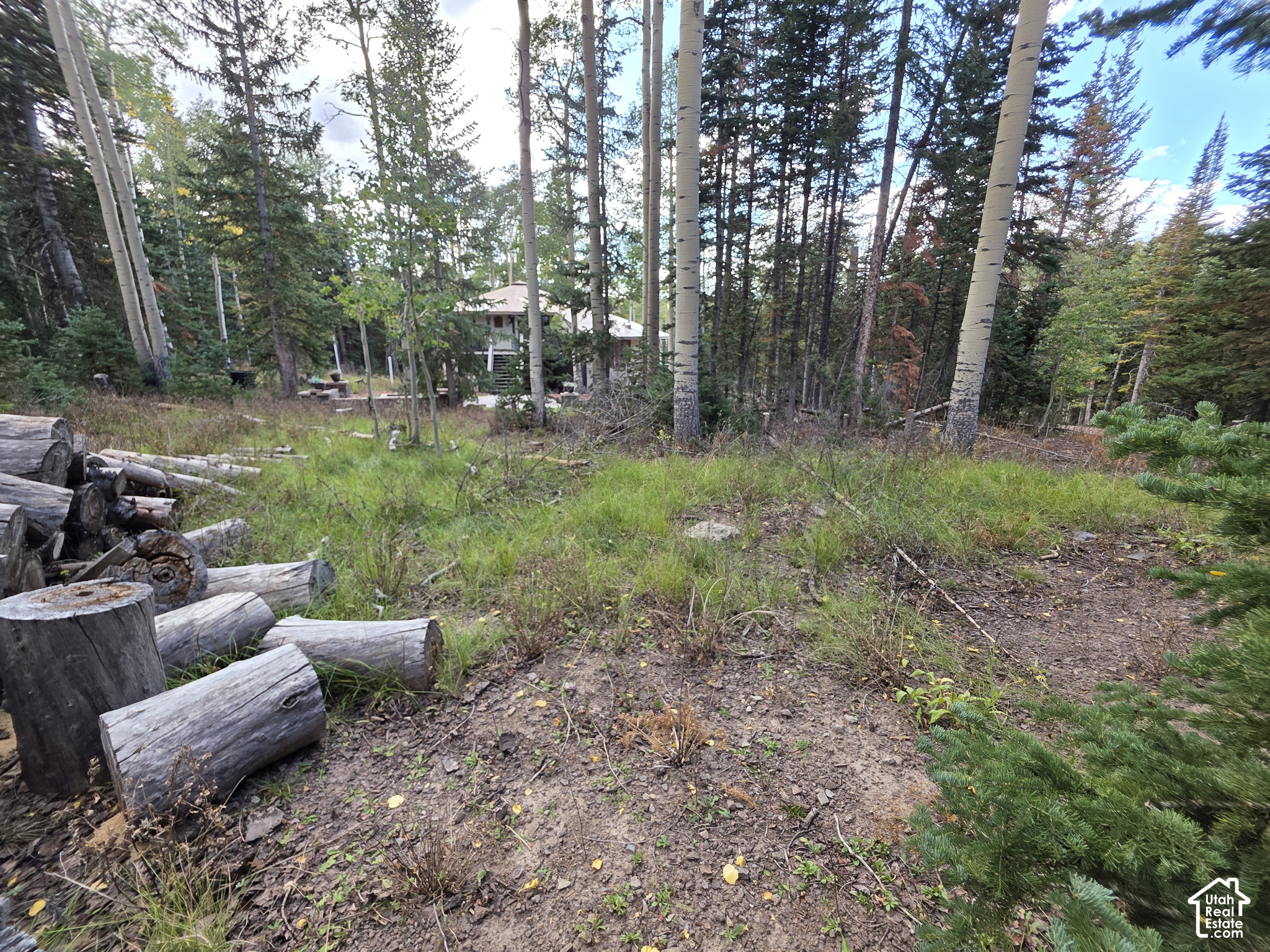 main property photo 6