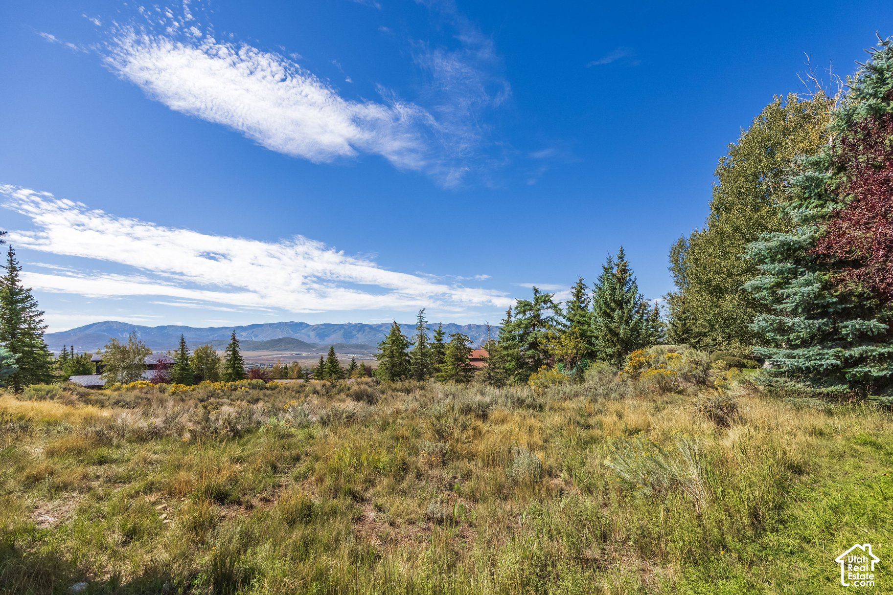 main property photo 73