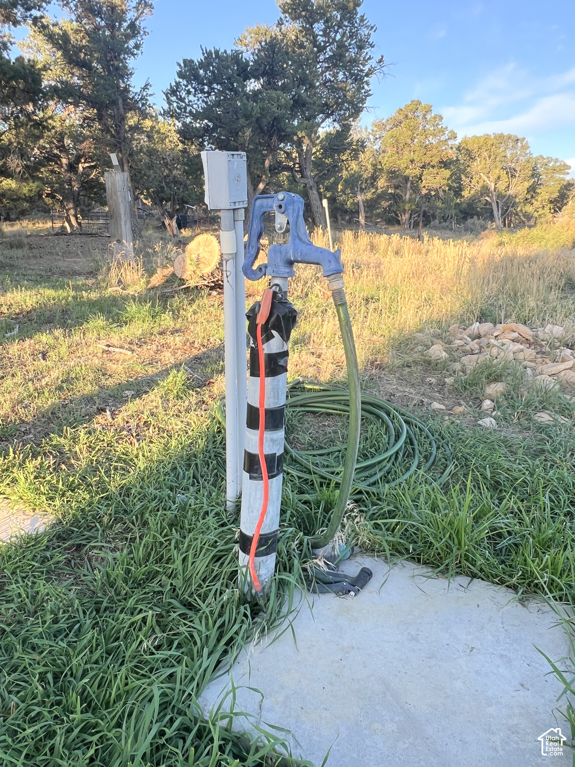 main property photo 43