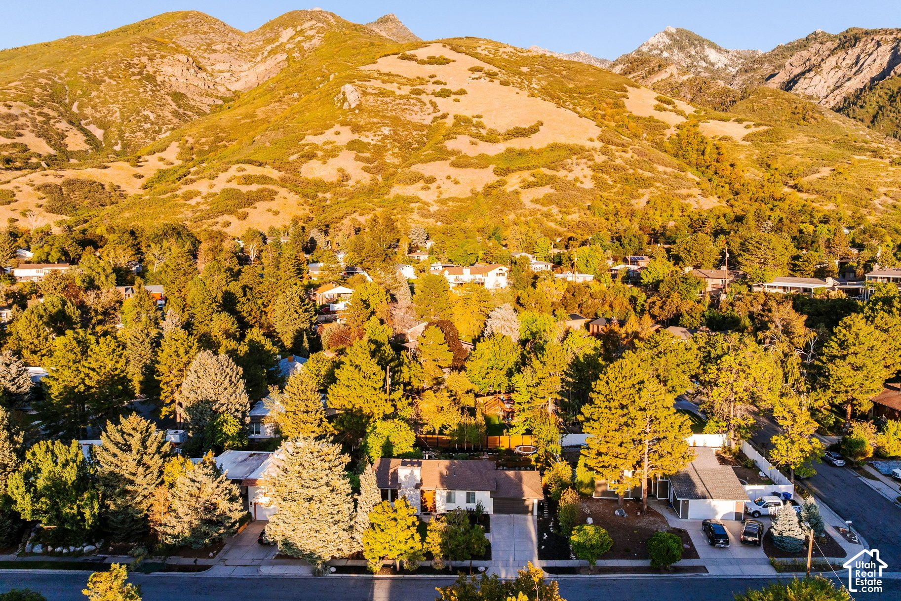 main property photo 38