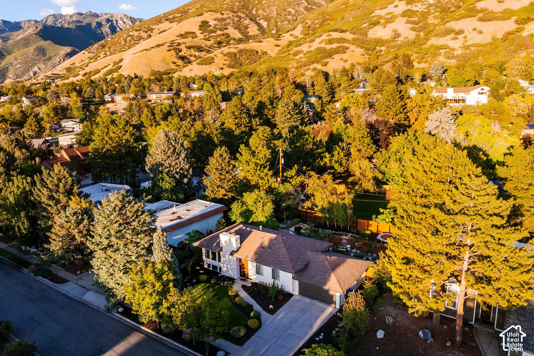 main property photo 41