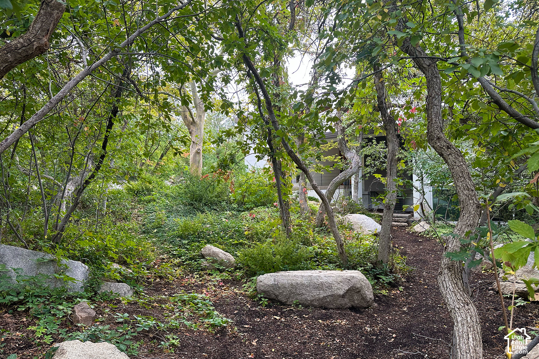 main property photo 86