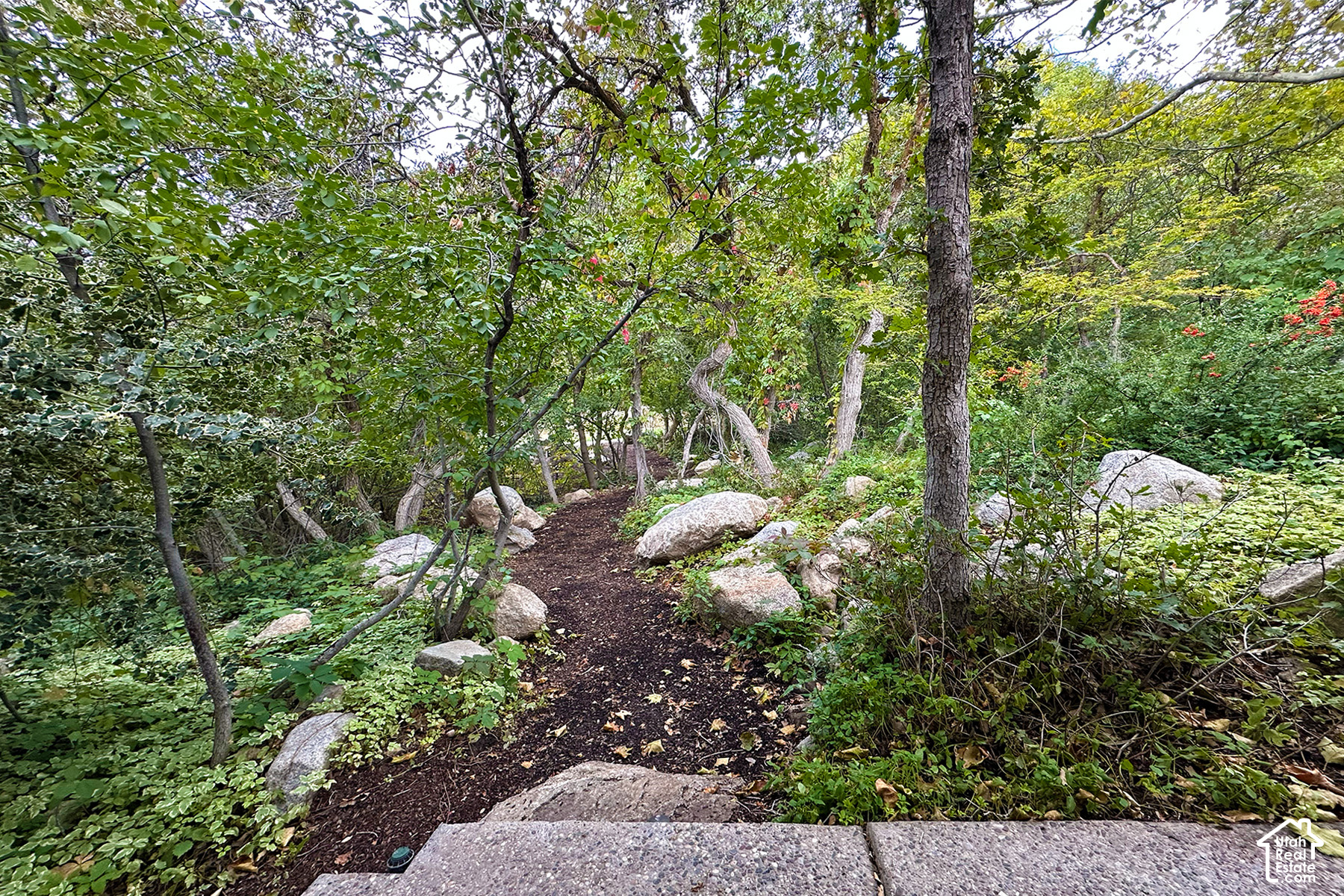 main property photo 87