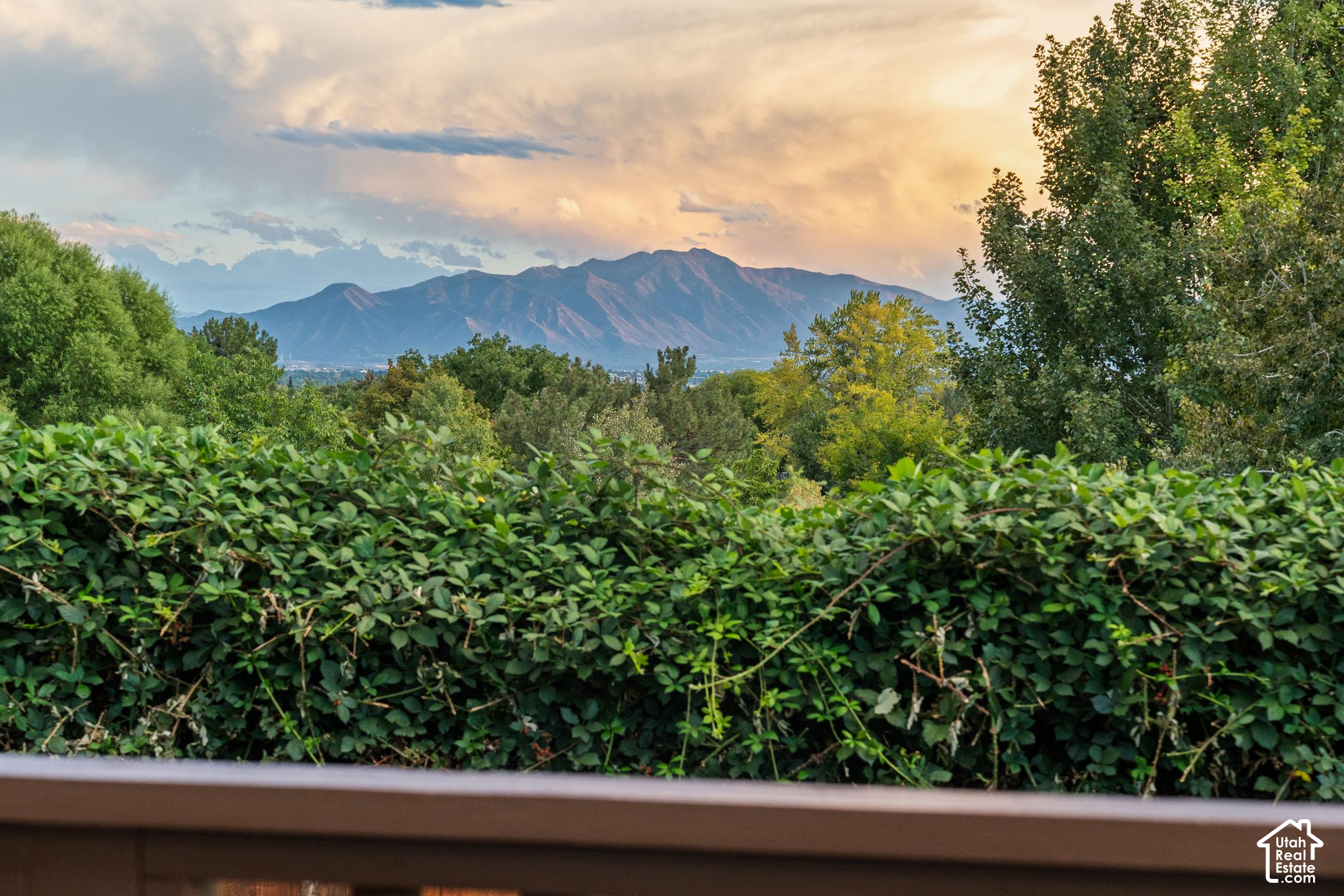 main property photo 97