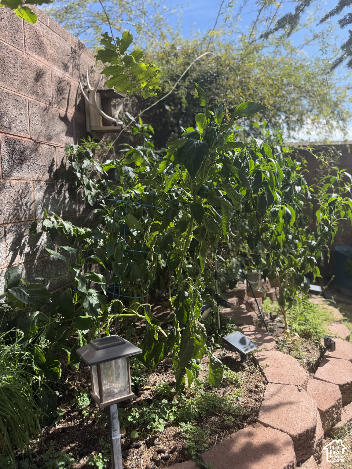 main property photo 27