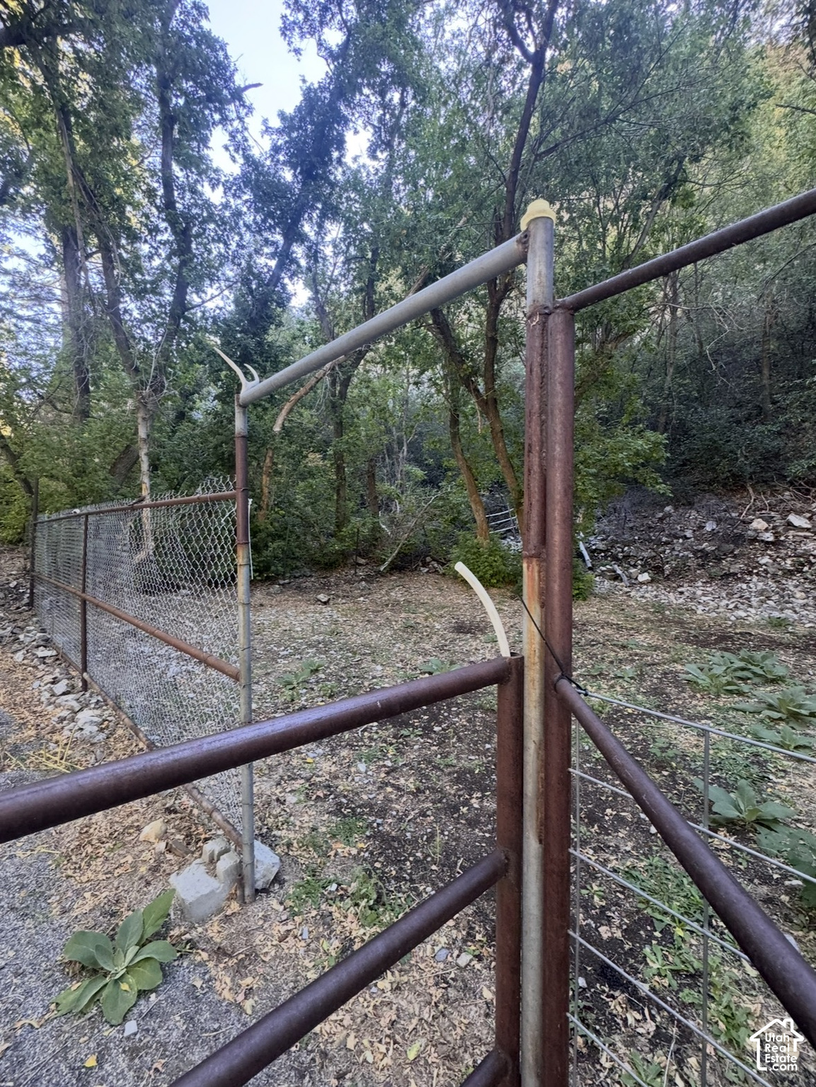 main property photo 33