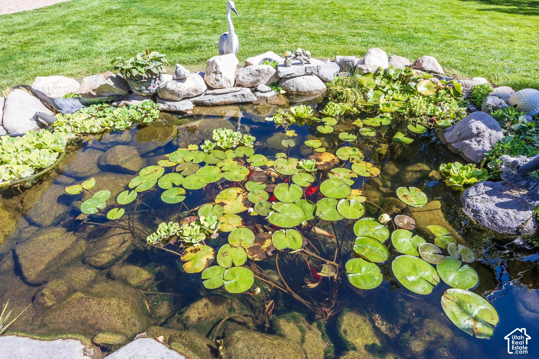 main property photo 59