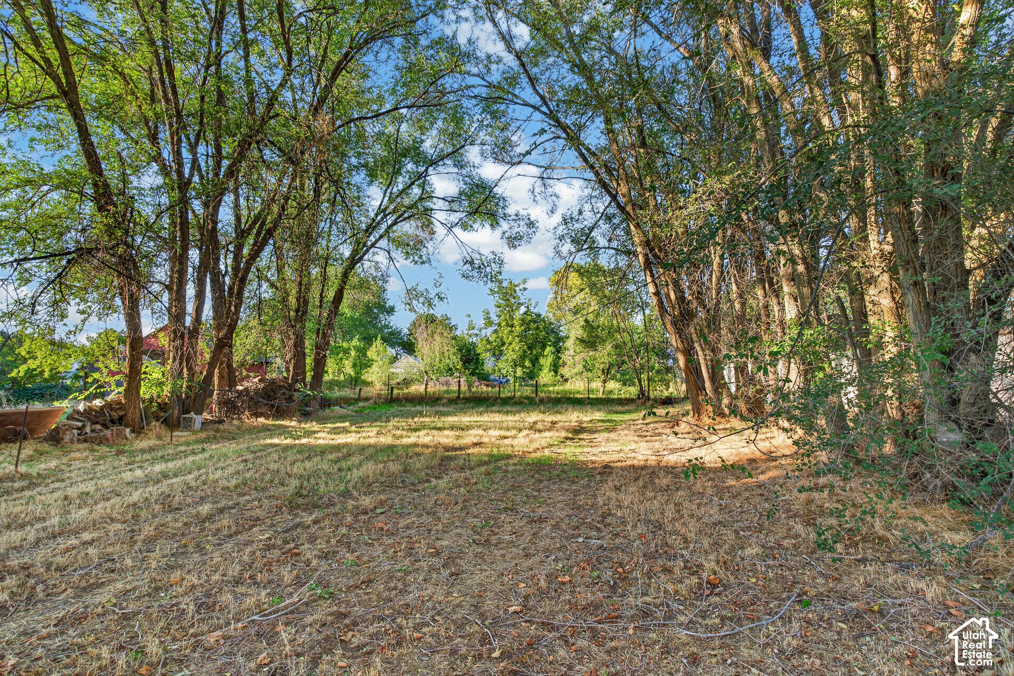 main property photo 9