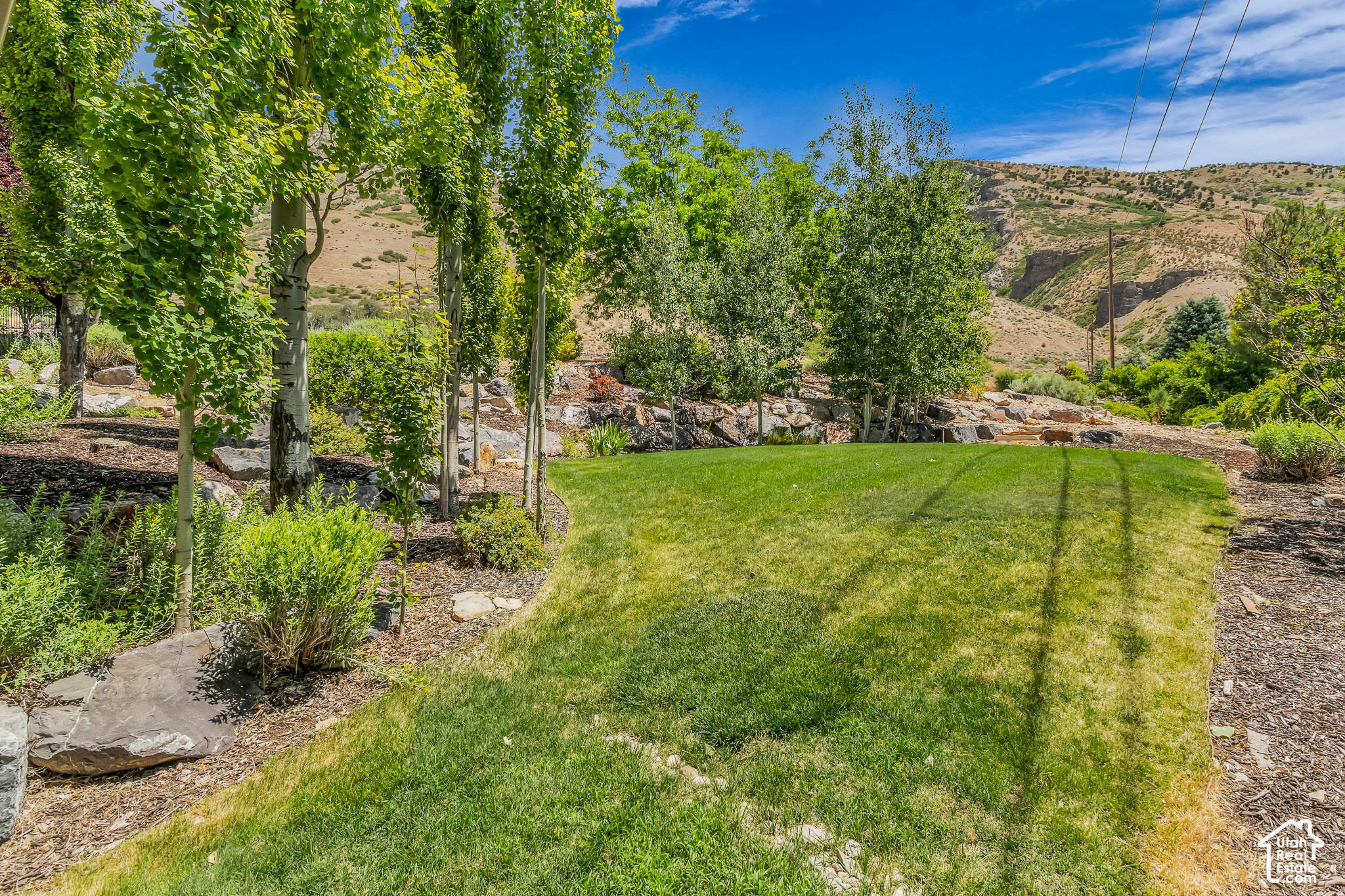 main property photo 54