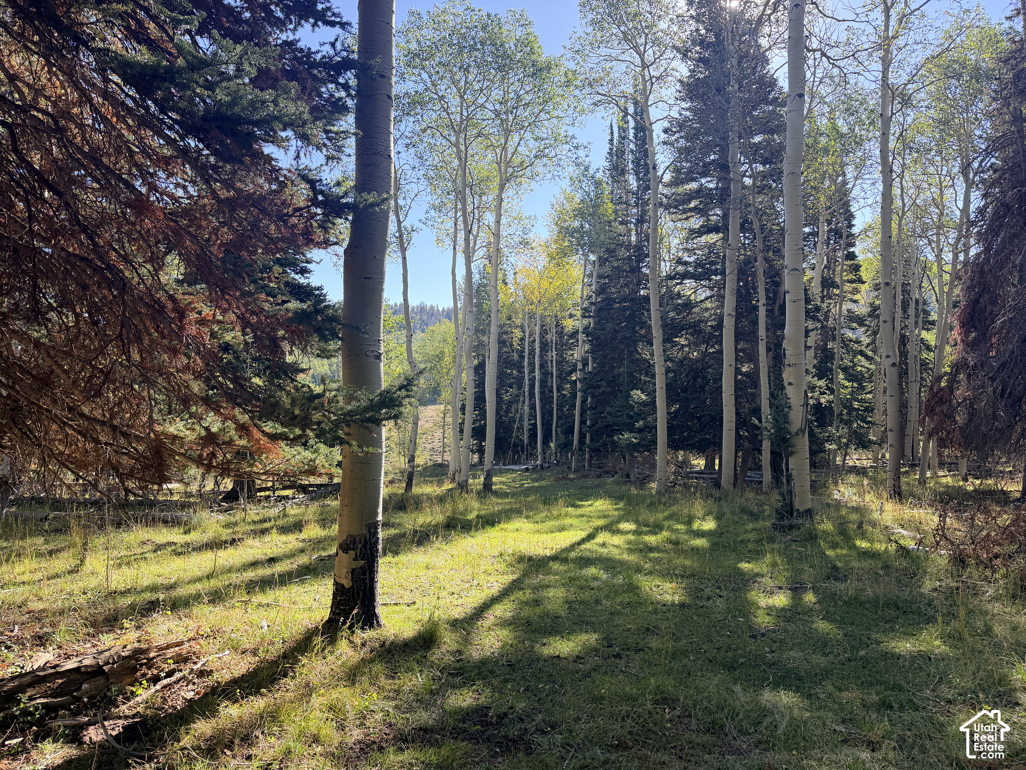 main property photo 15