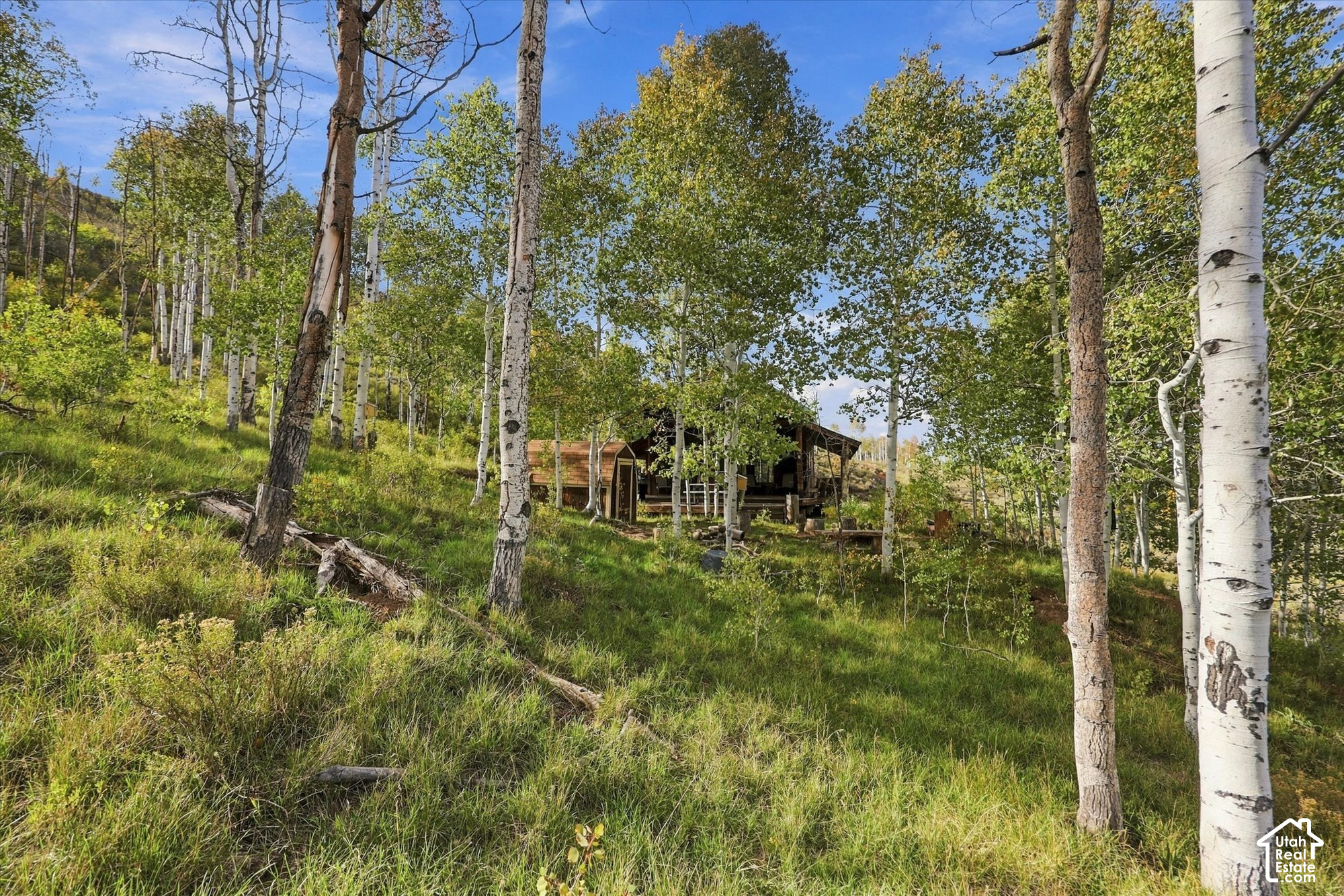 main property photo 60