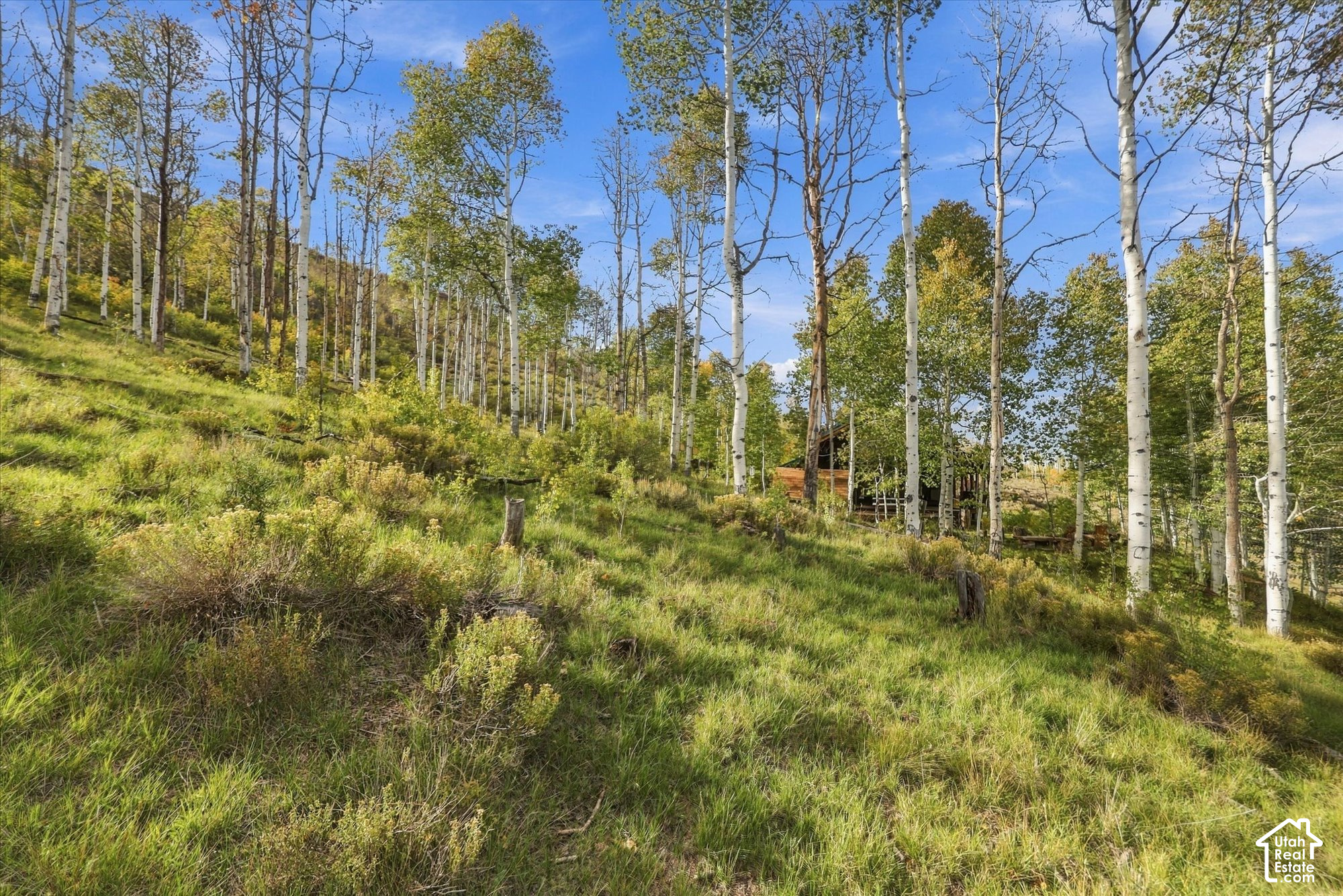 main property photo 63