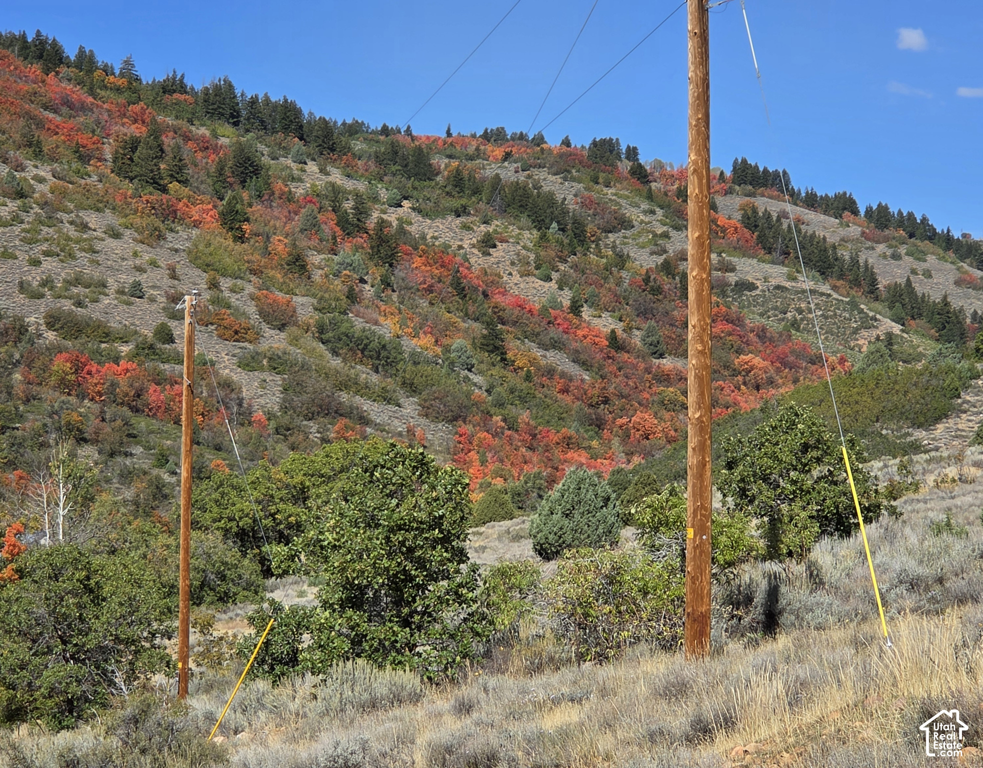 main property photo 14