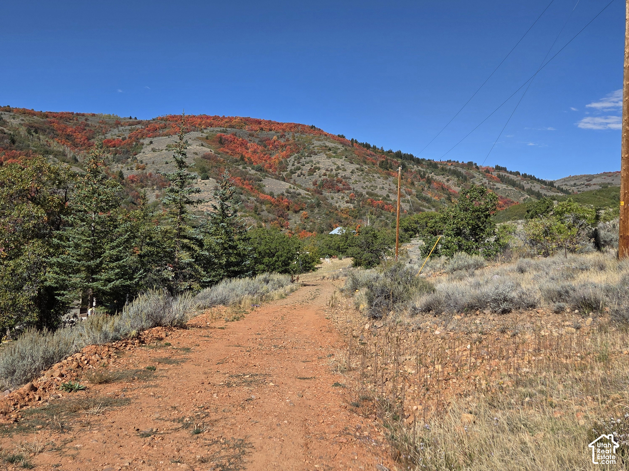 main property photo 7