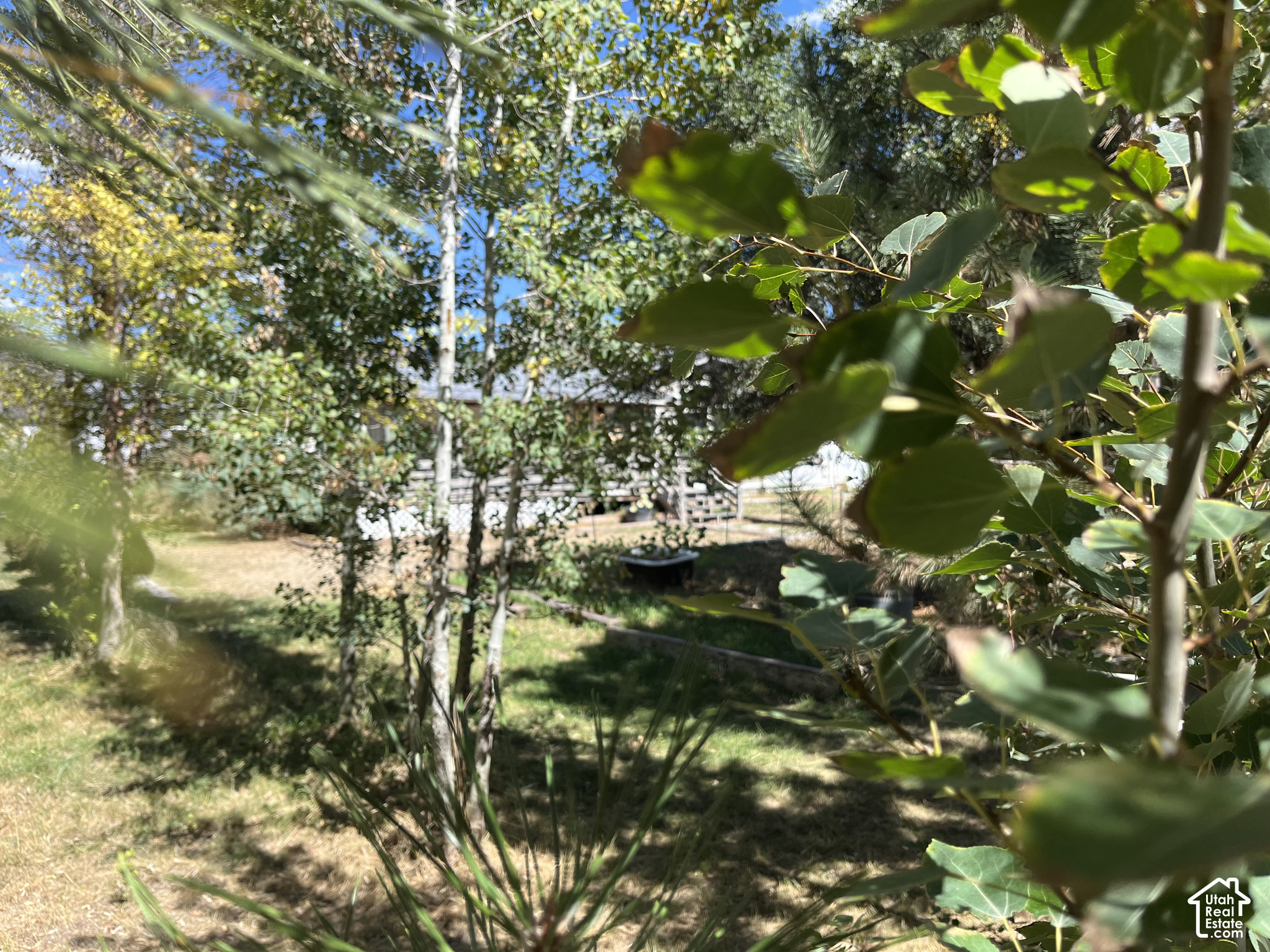 main property photo 45