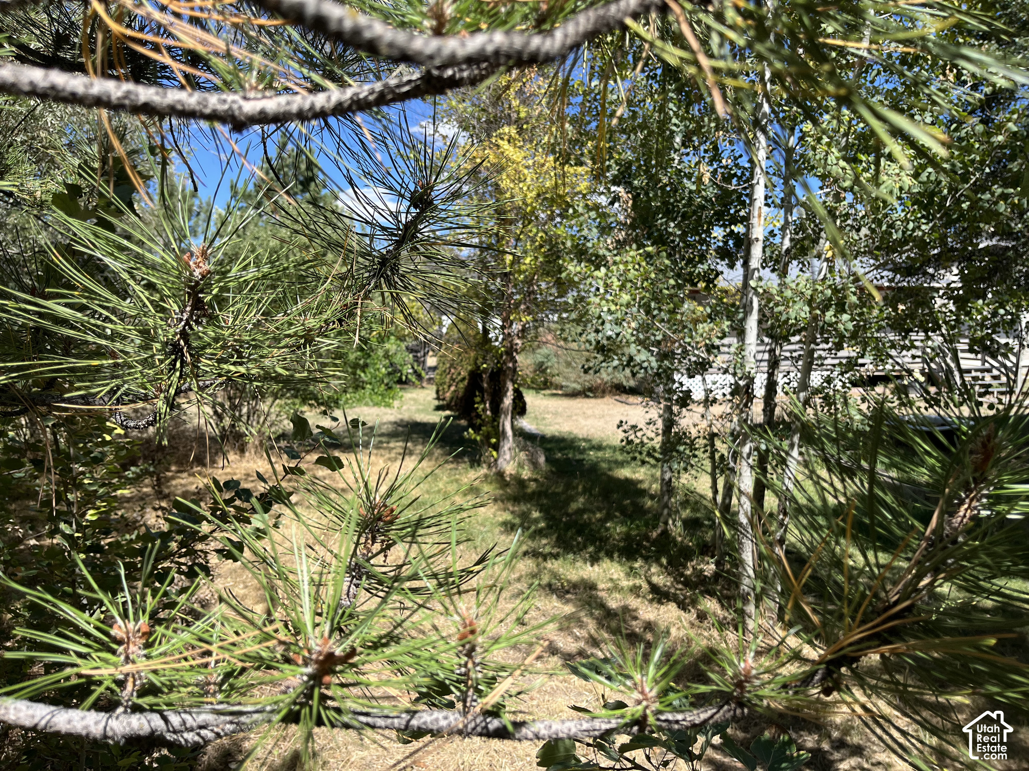main property photo 46