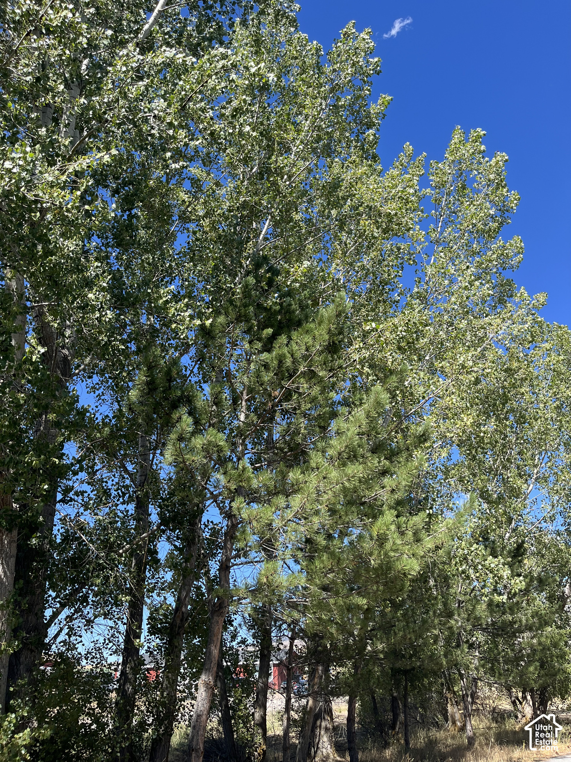 main property photo 49