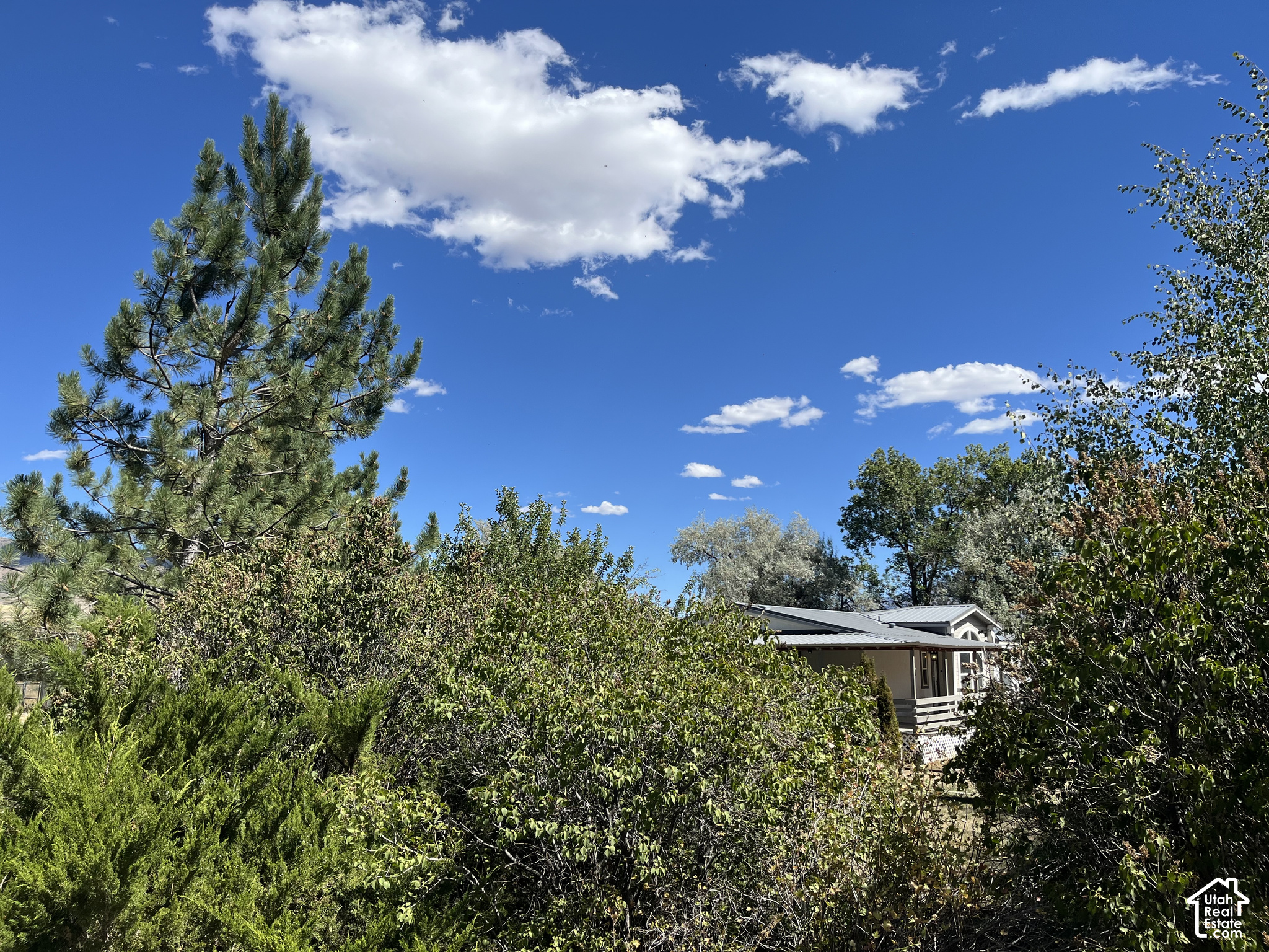 main property photo 50