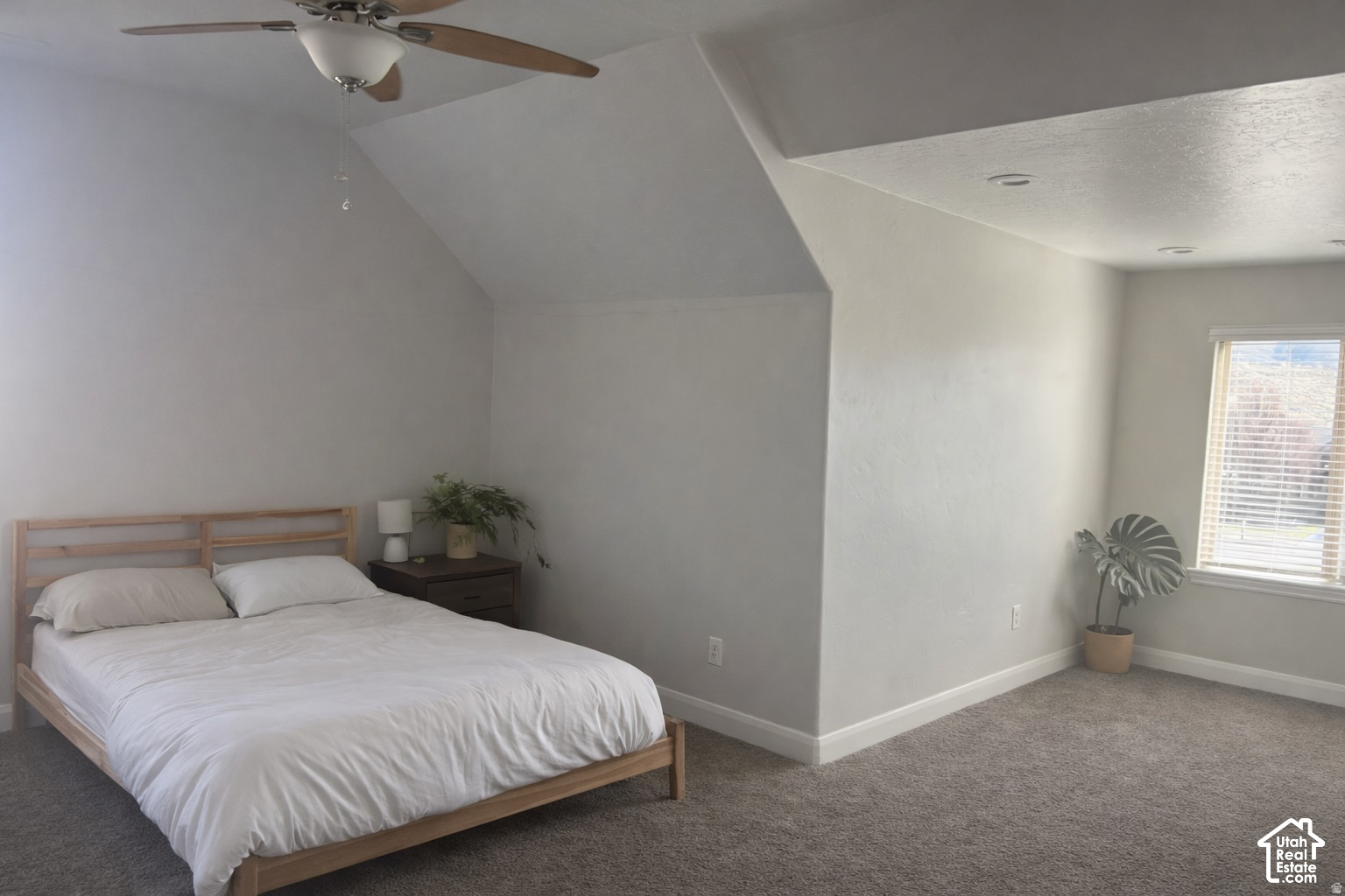 main property photo 66