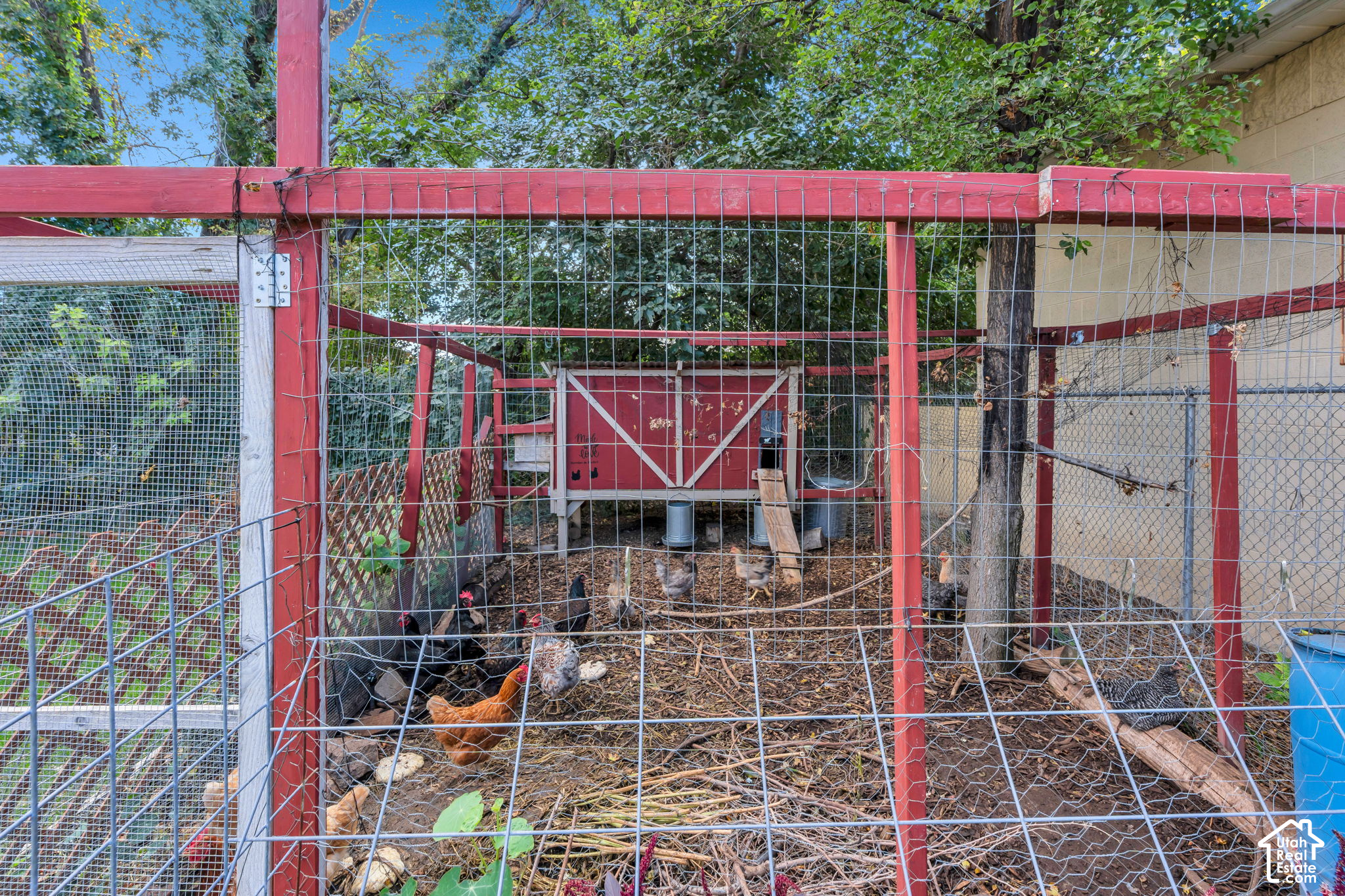 main property photo 32