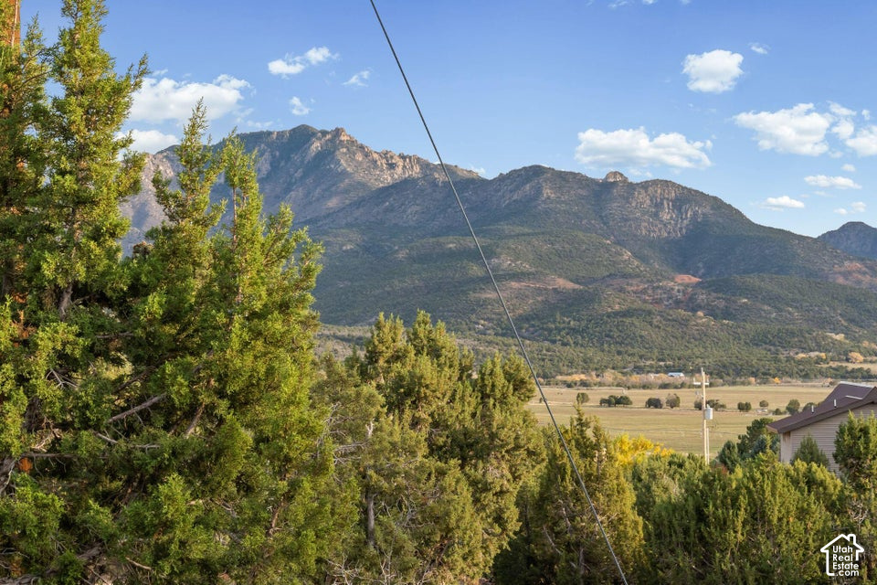 main property photo 53