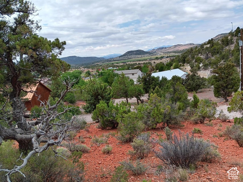 main property photo 61