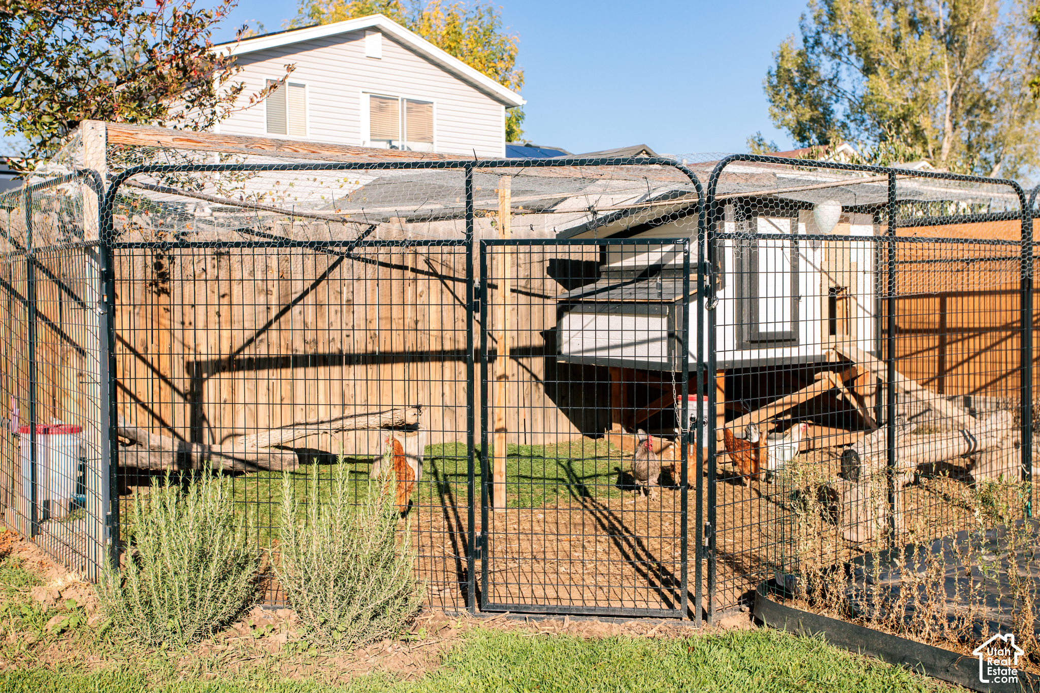 main property photo 47
