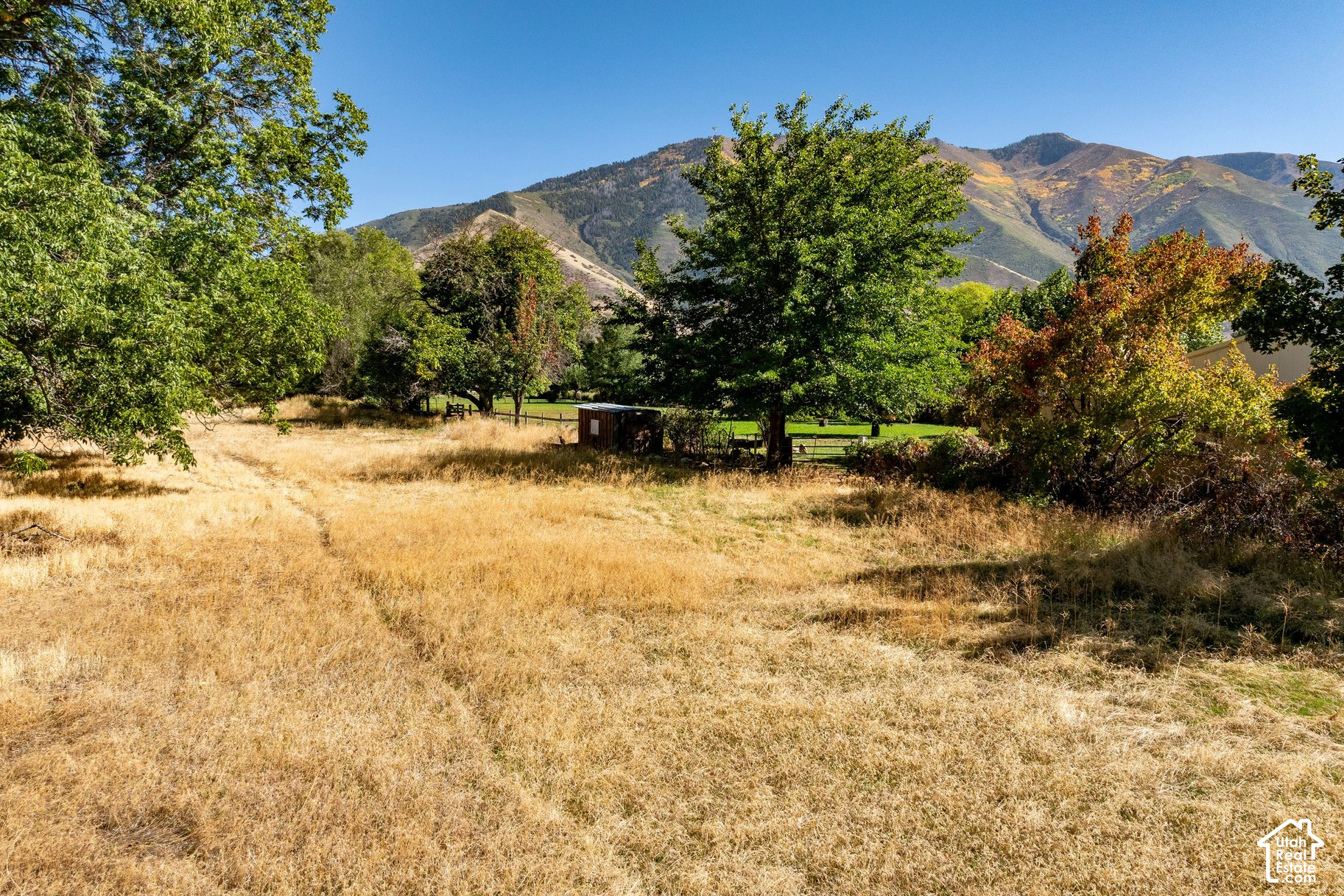 main property photo 16