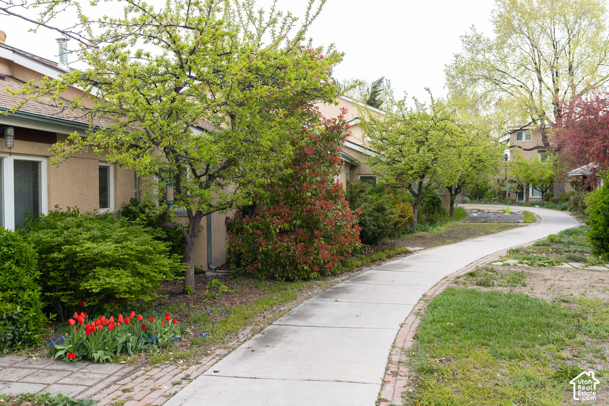 main property photo 59