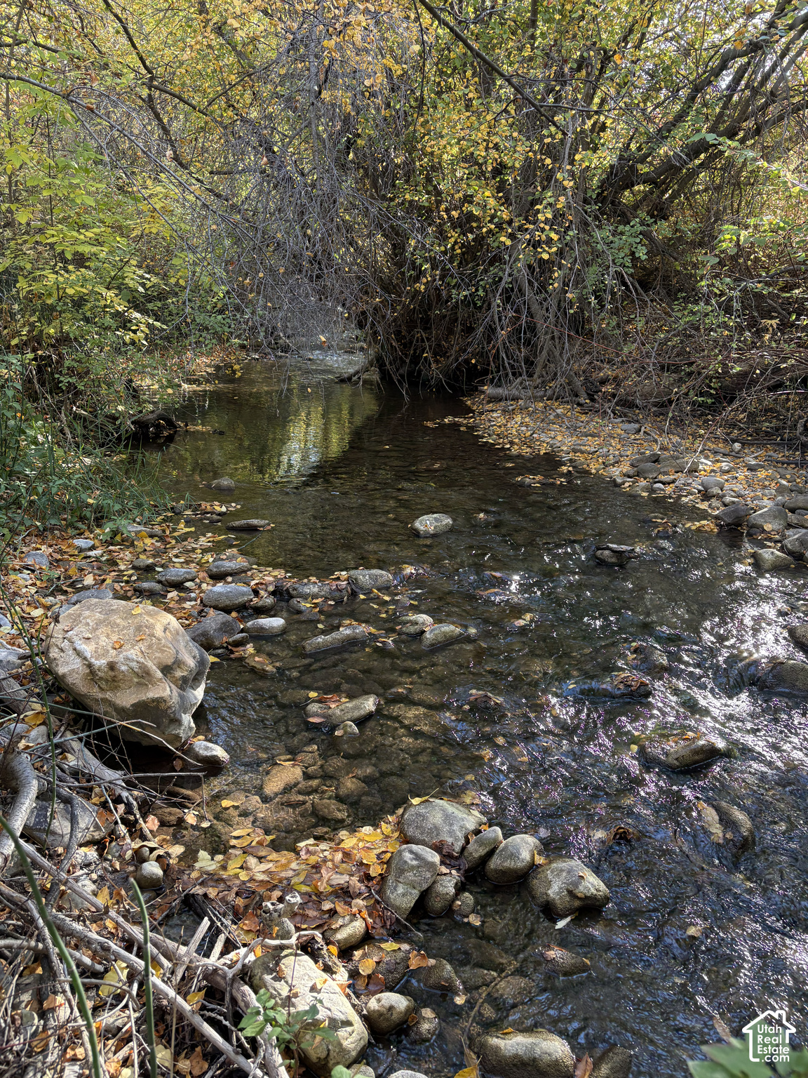 main property photo 80