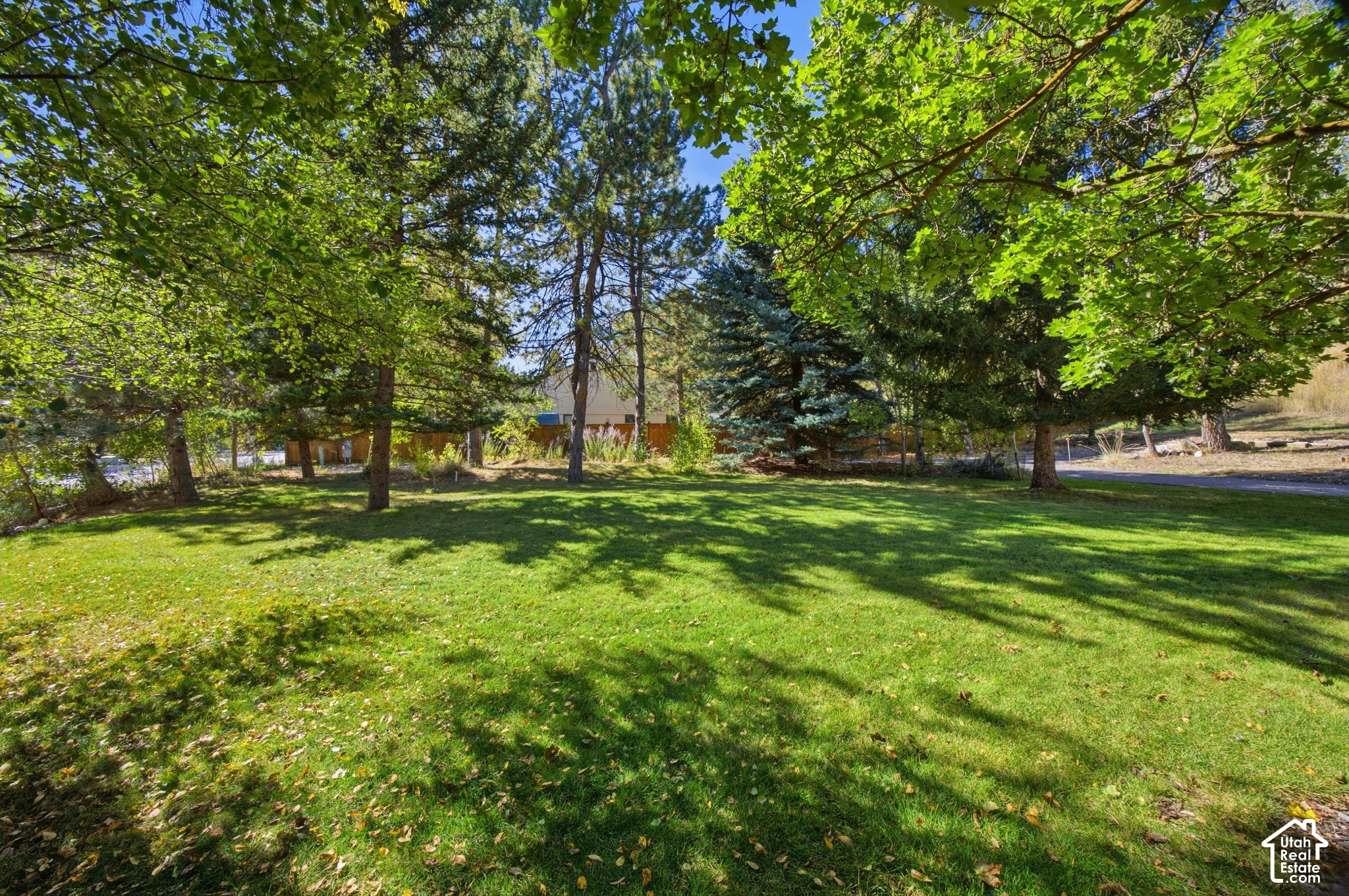 main property photo 85