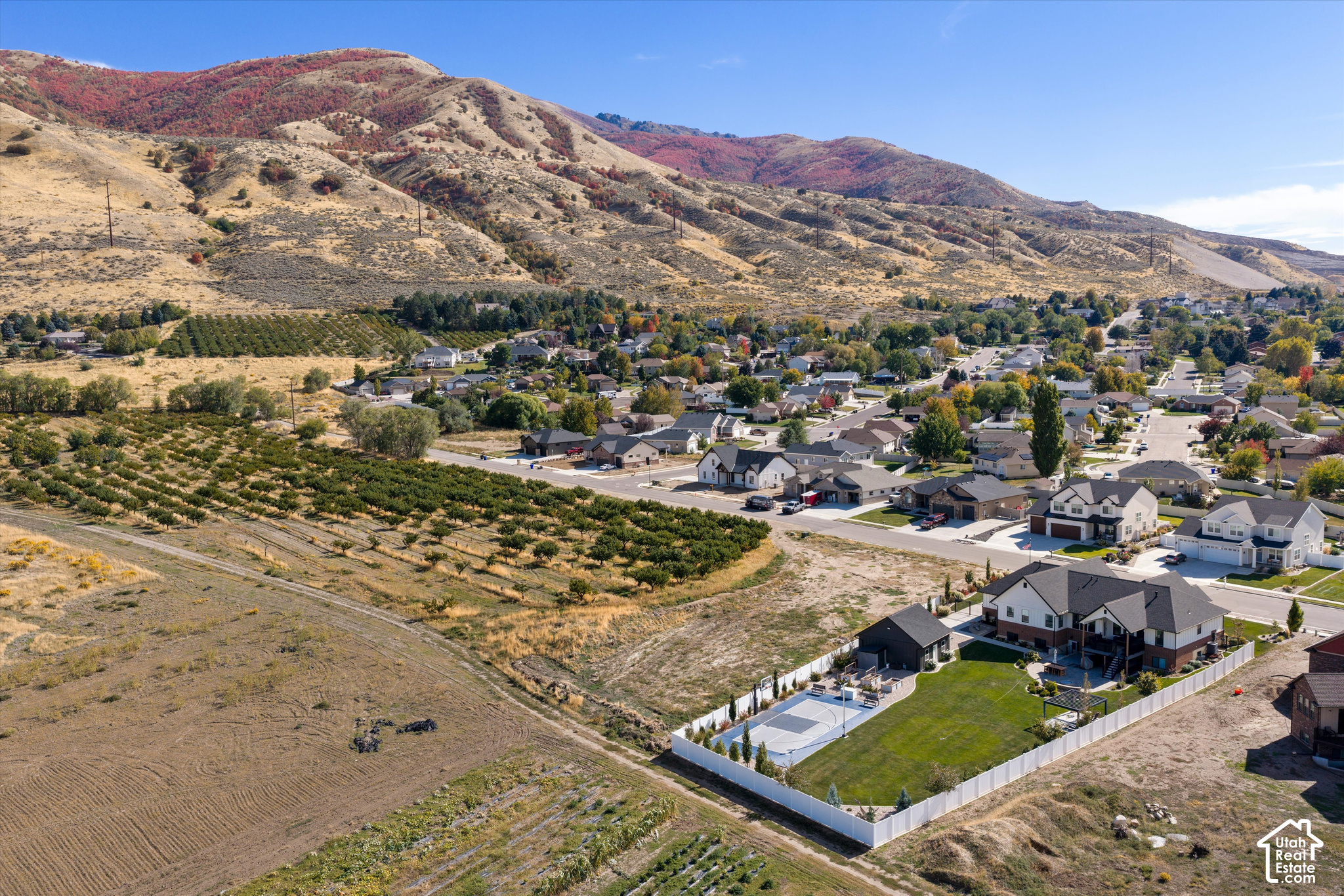 main property photo 8