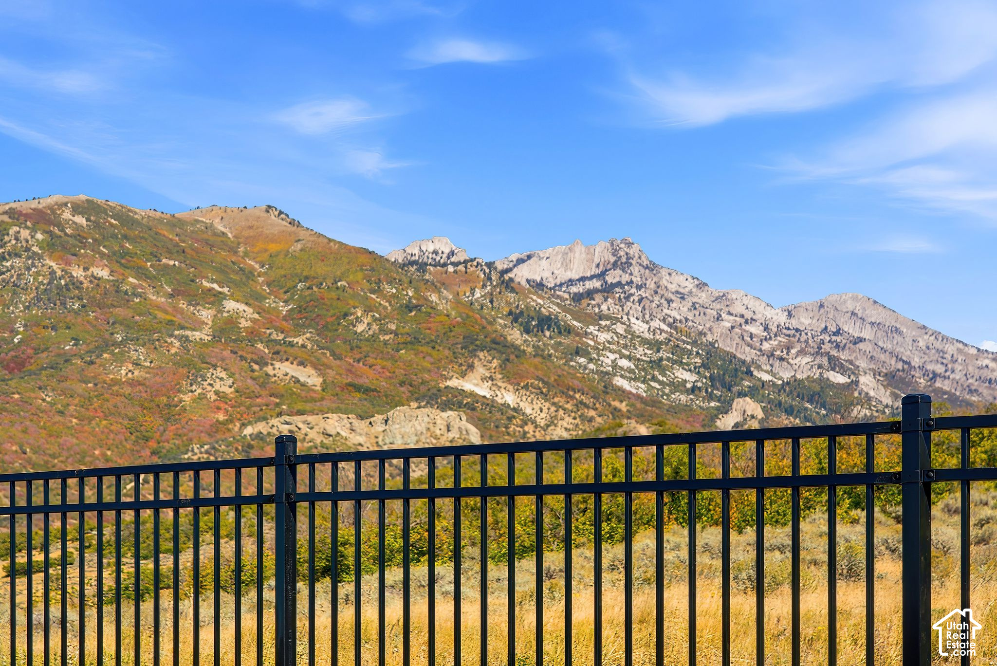 main property photo 62