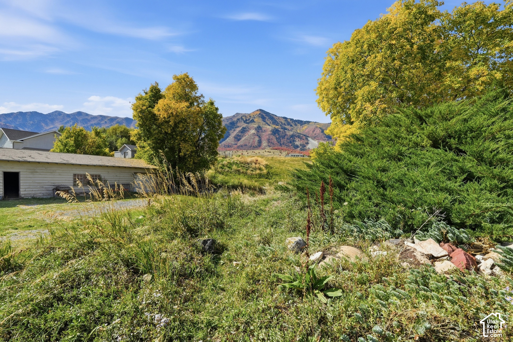 main property photo 49