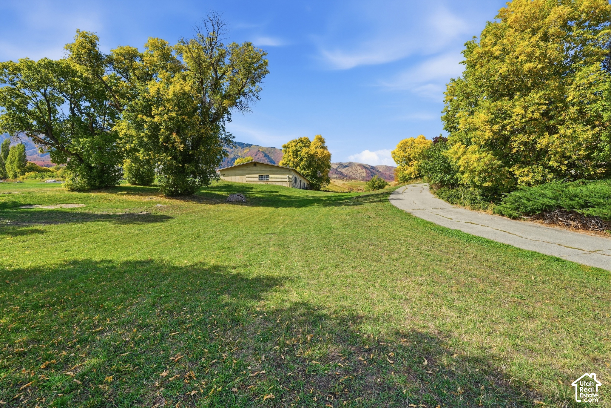main property photo 5