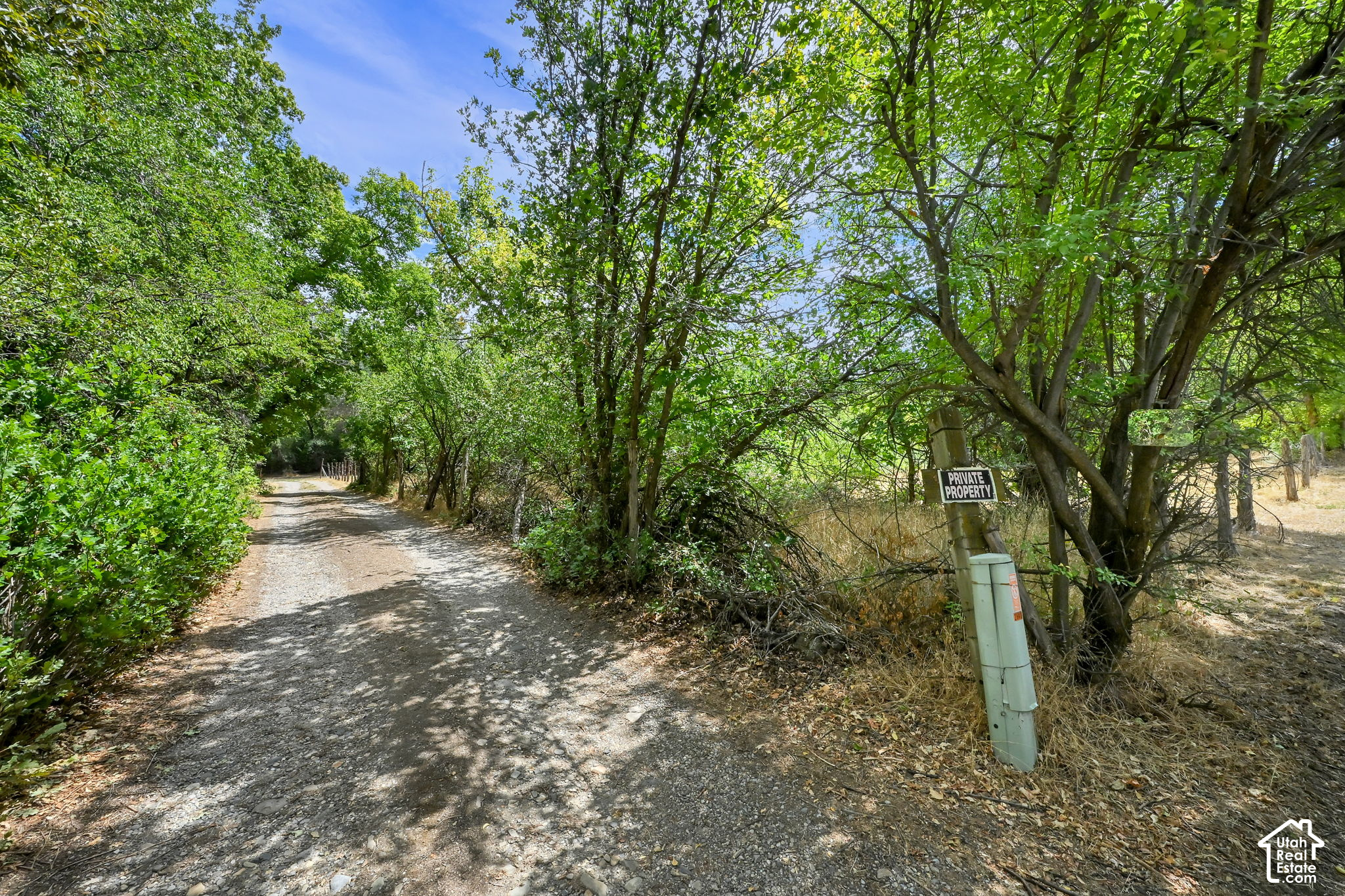 main property photo 45
