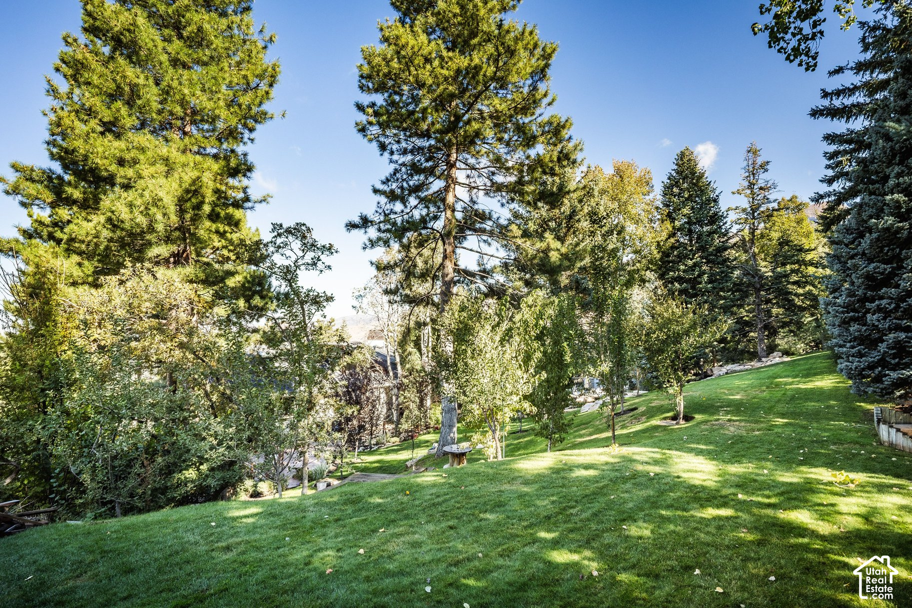 main property photo 52