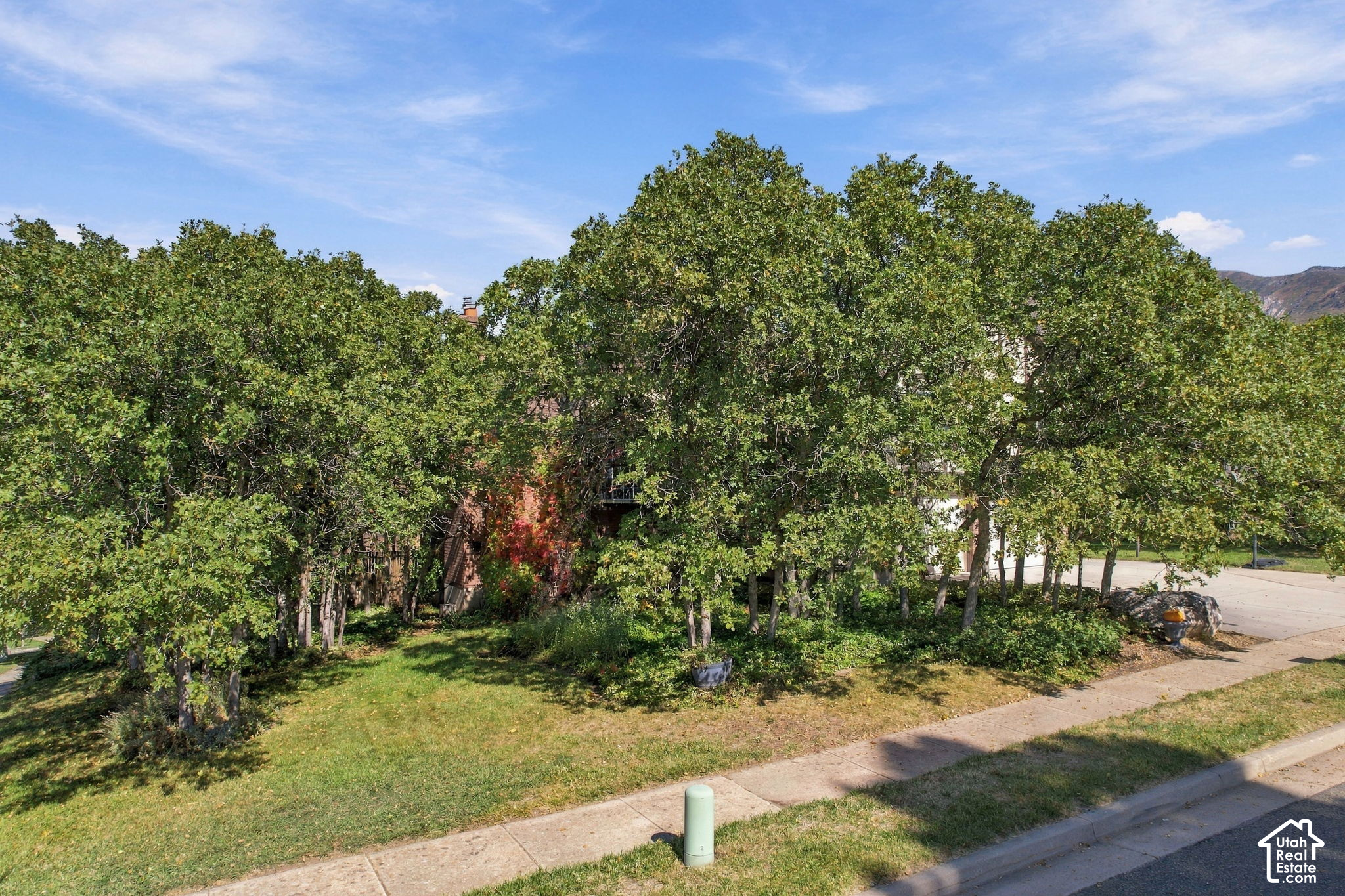 main property photo 59