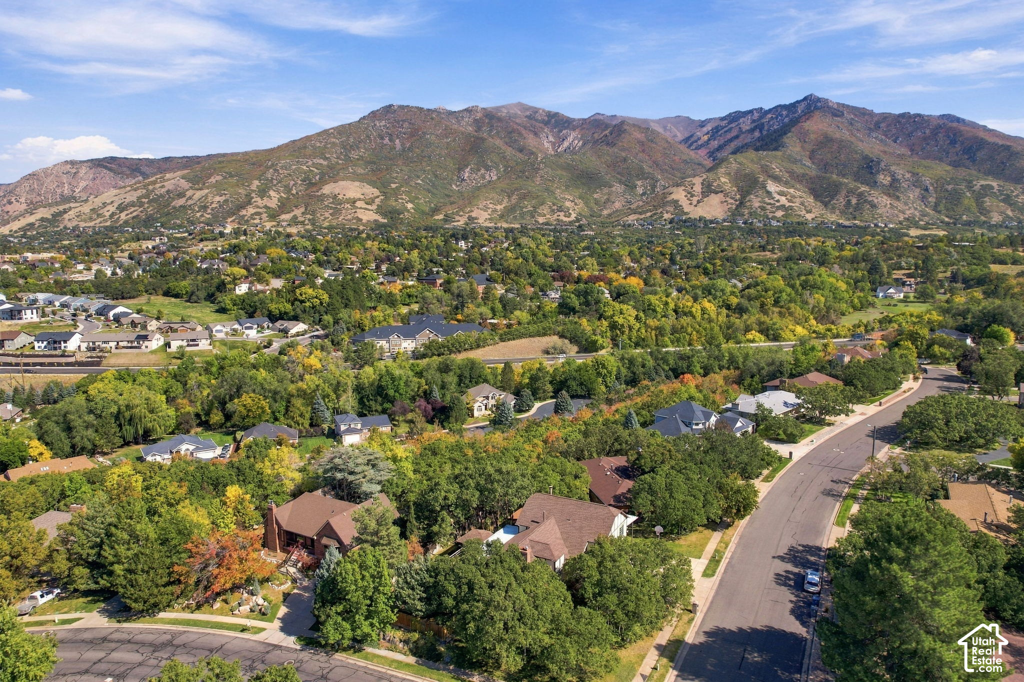 main property photo 61