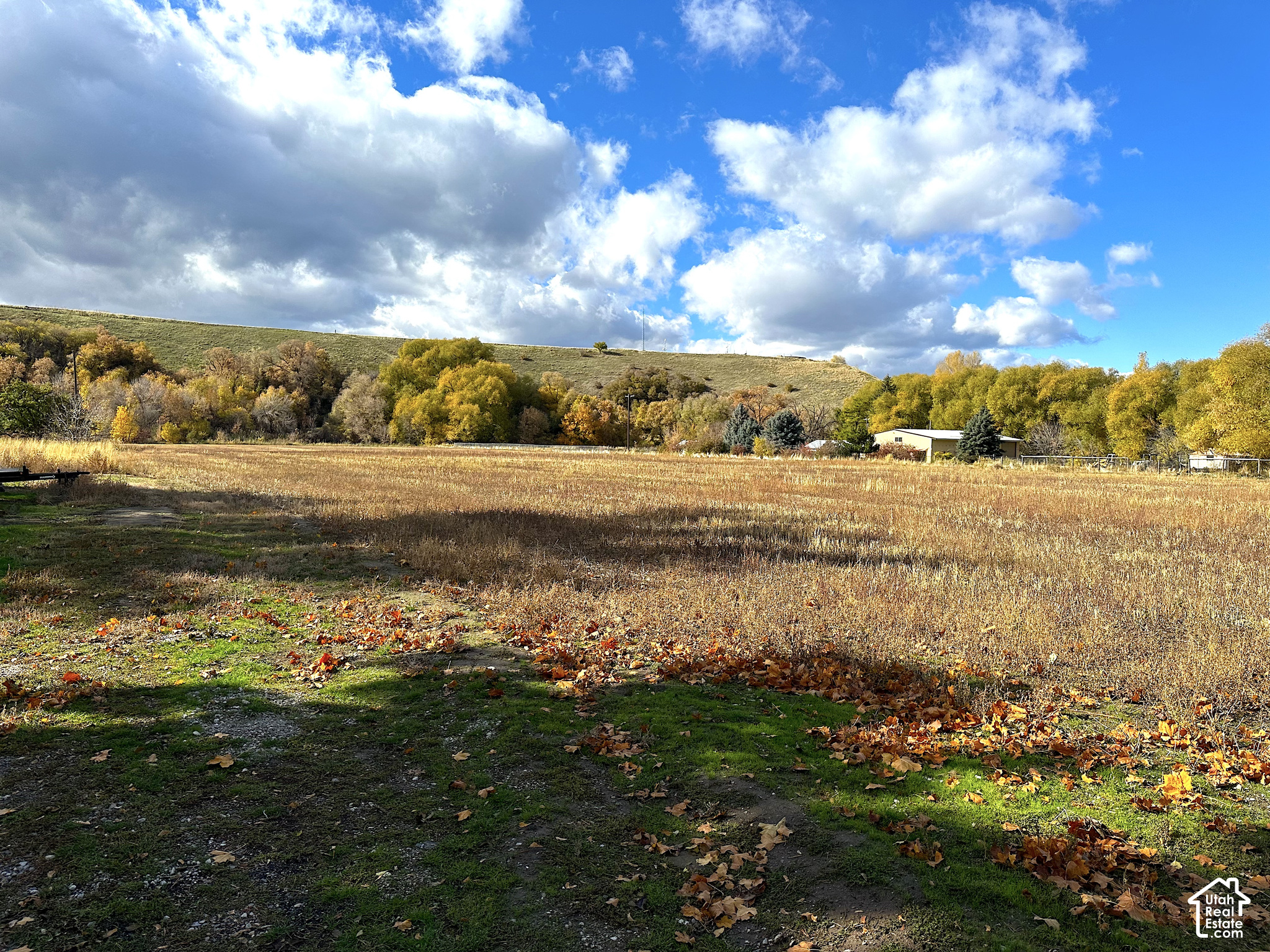 main property photo 18