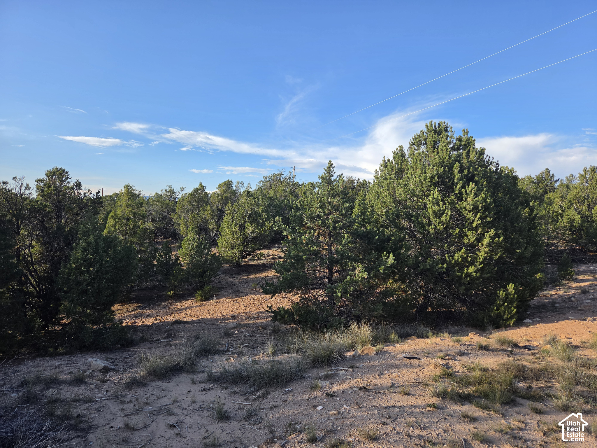 main property photo 37