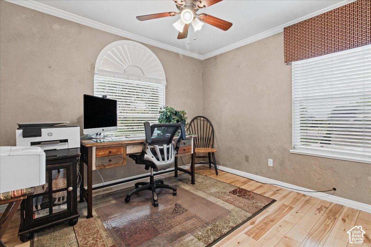 main property photo 14