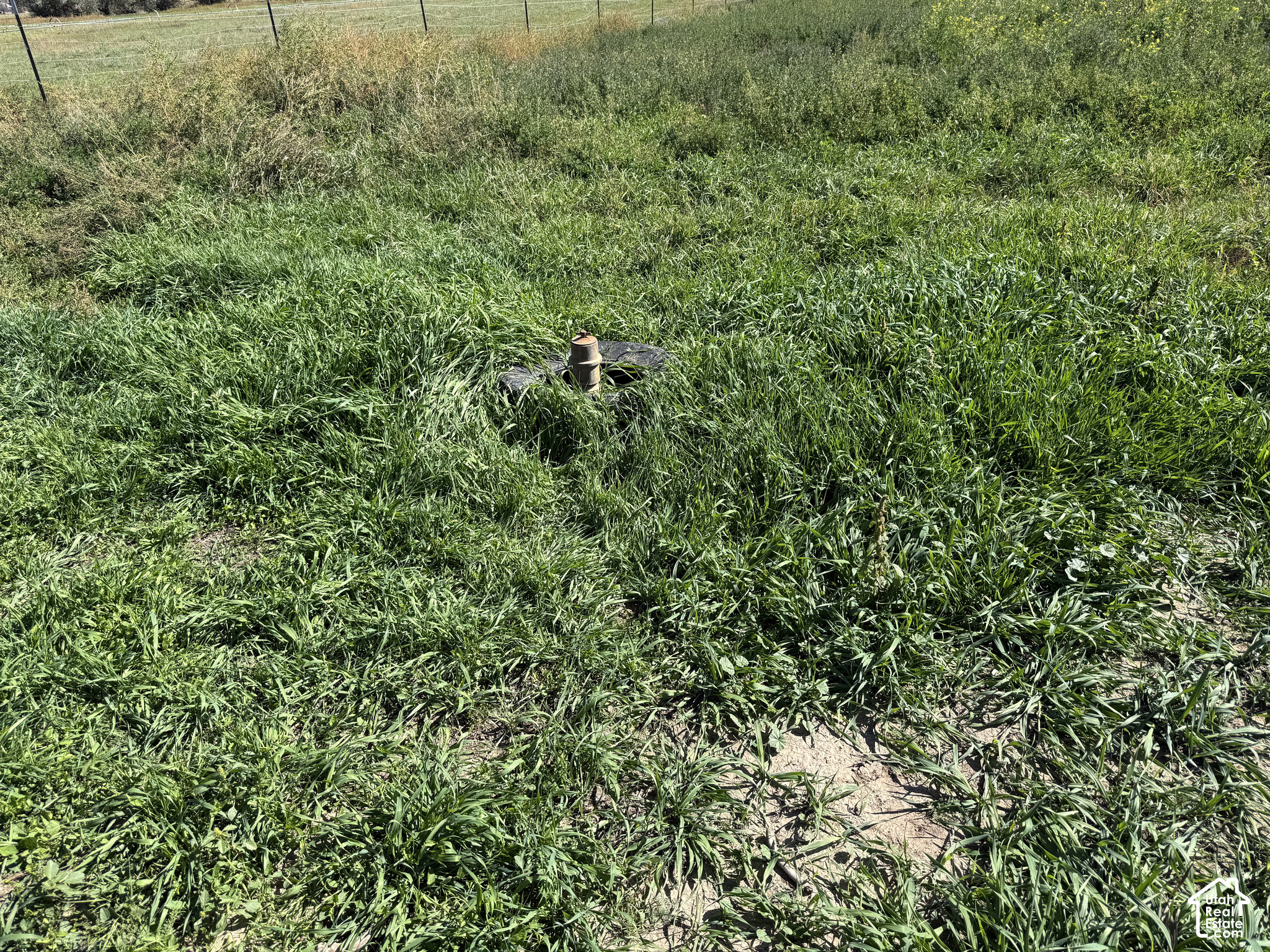 main property photo 16